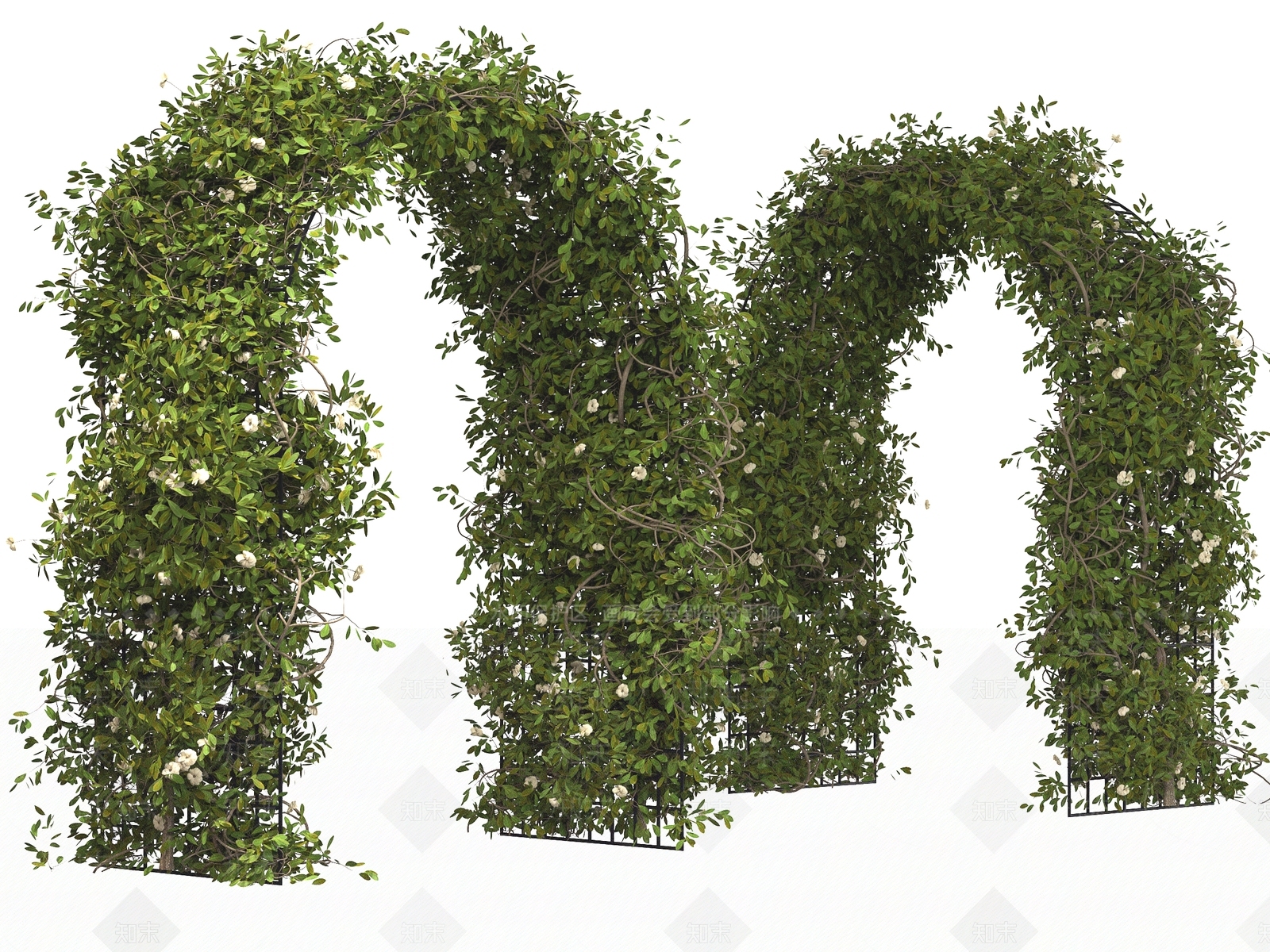 拱门爬藤植物SU模型下载【ID:1138914633】