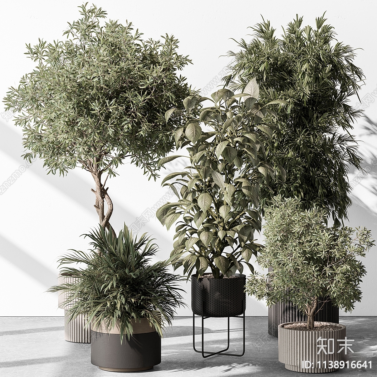 植物盆栽组合3D模型下载【ID:1138916641】