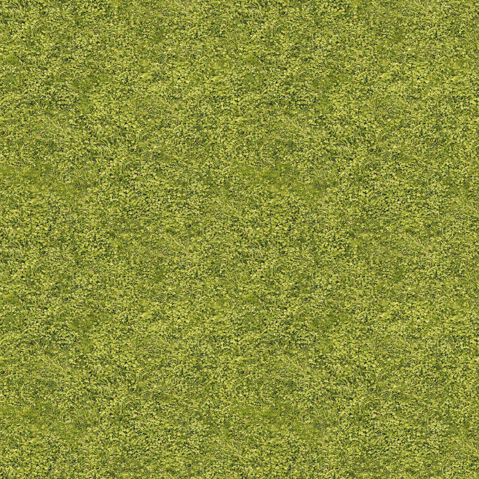 室外真实绿植草地草坪贴图下载【ID:1138936884】