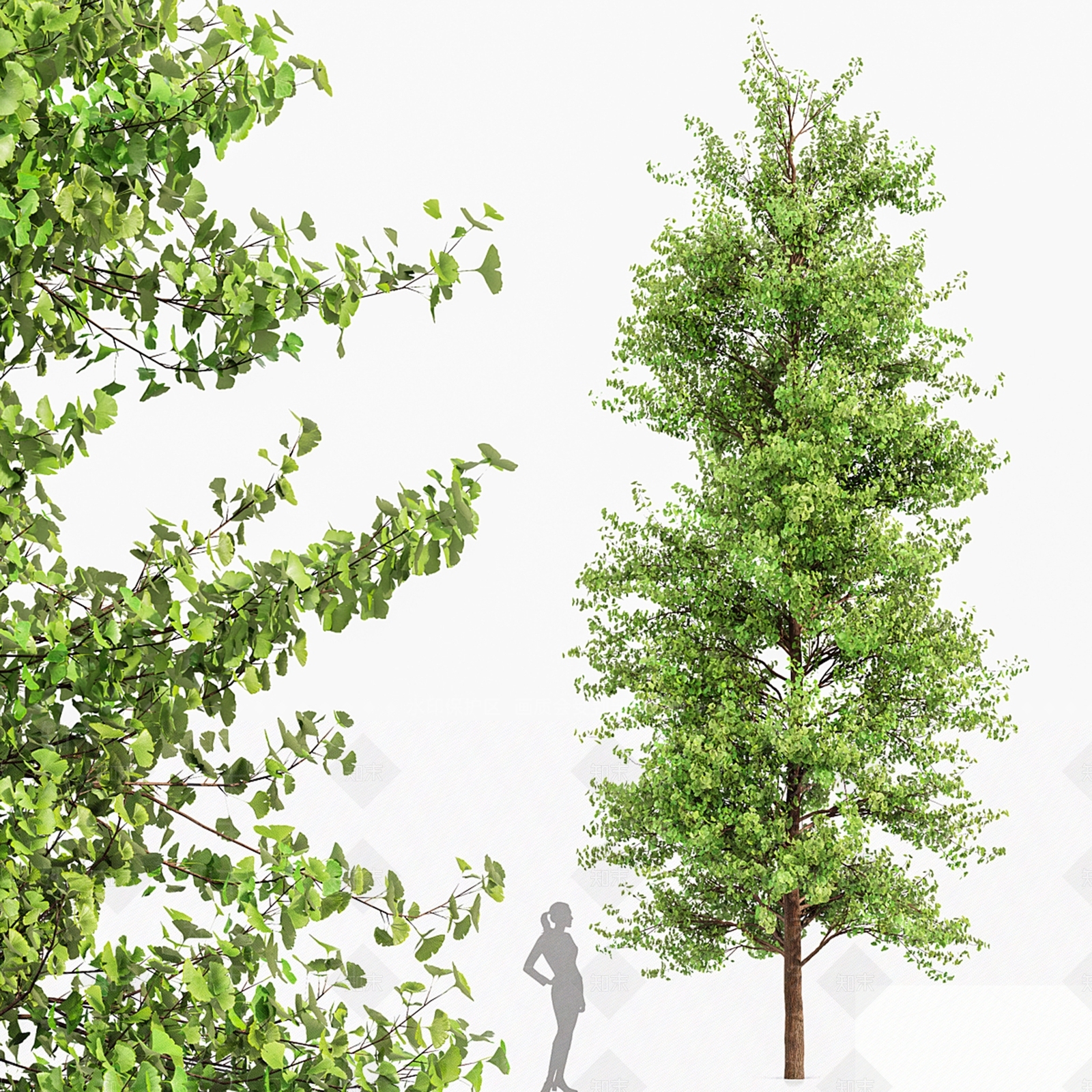 乔木3D模型下载【ID:1138995077】