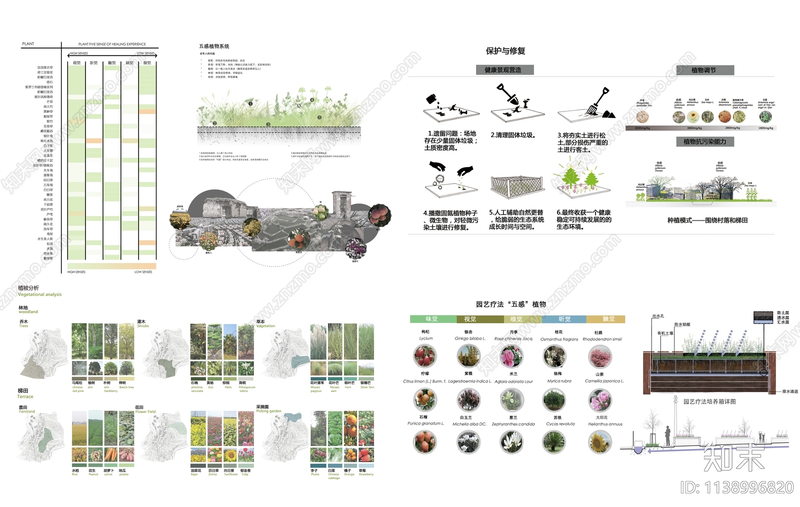 植物分析图设计素材精品下载_知末网