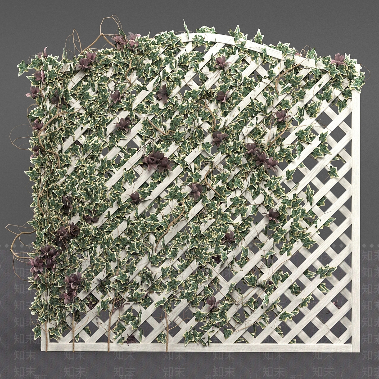 常春藤栅栏3D模型下载【ID:1139076629】