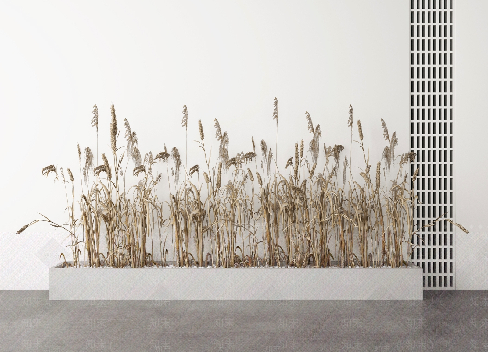 芦苇SU模型下载【ID:1139095368】