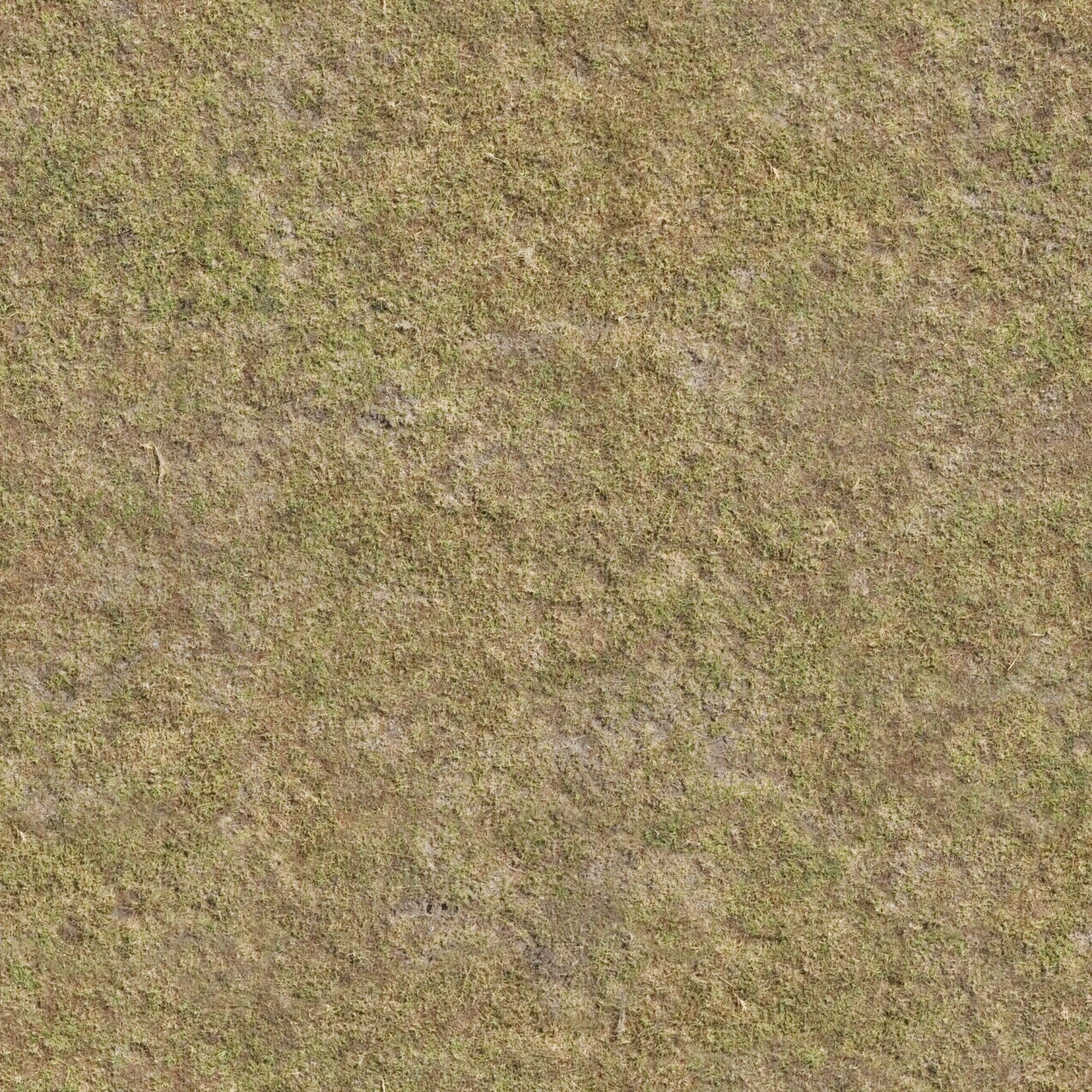 高清苔藓草地草坪草皮草坡泥土沙土泥巴土壤野草植被贴图下载【ID:1139132936】