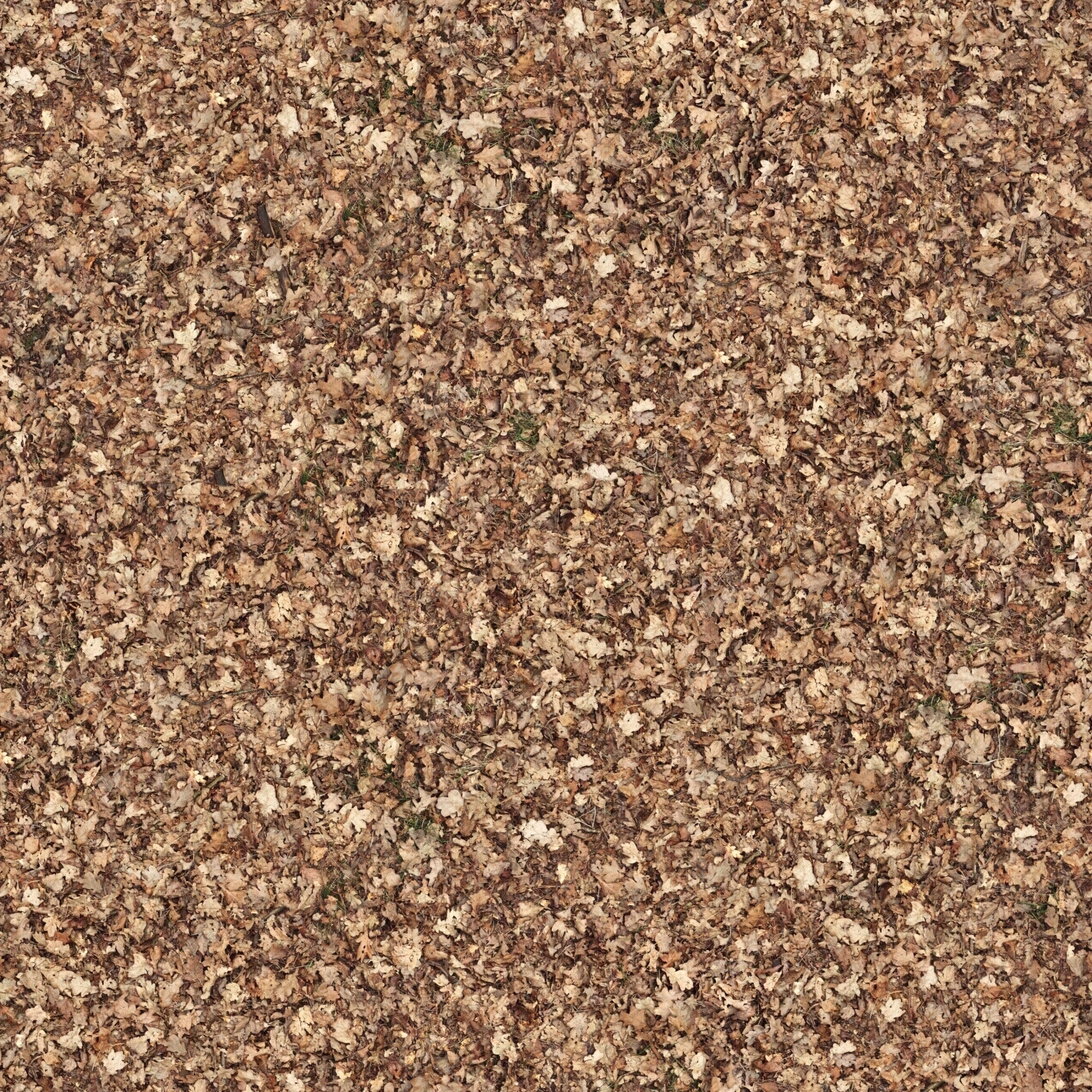 超高清草地草坪草皮枯草落叶地被植物地面贴图下载【ID:1139133103】