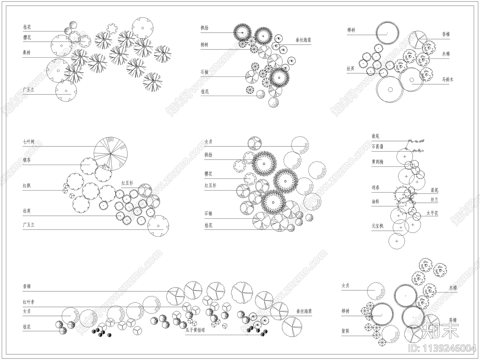 景观树种植平面施工图下载【ID:1139246004】