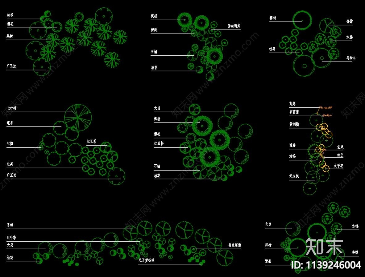 景观树种植平面施工图下载【ID:1139246004】