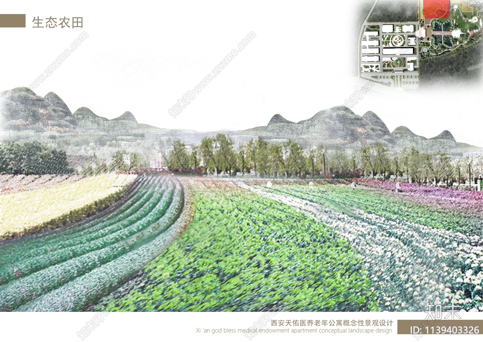 养老院景观设计方案