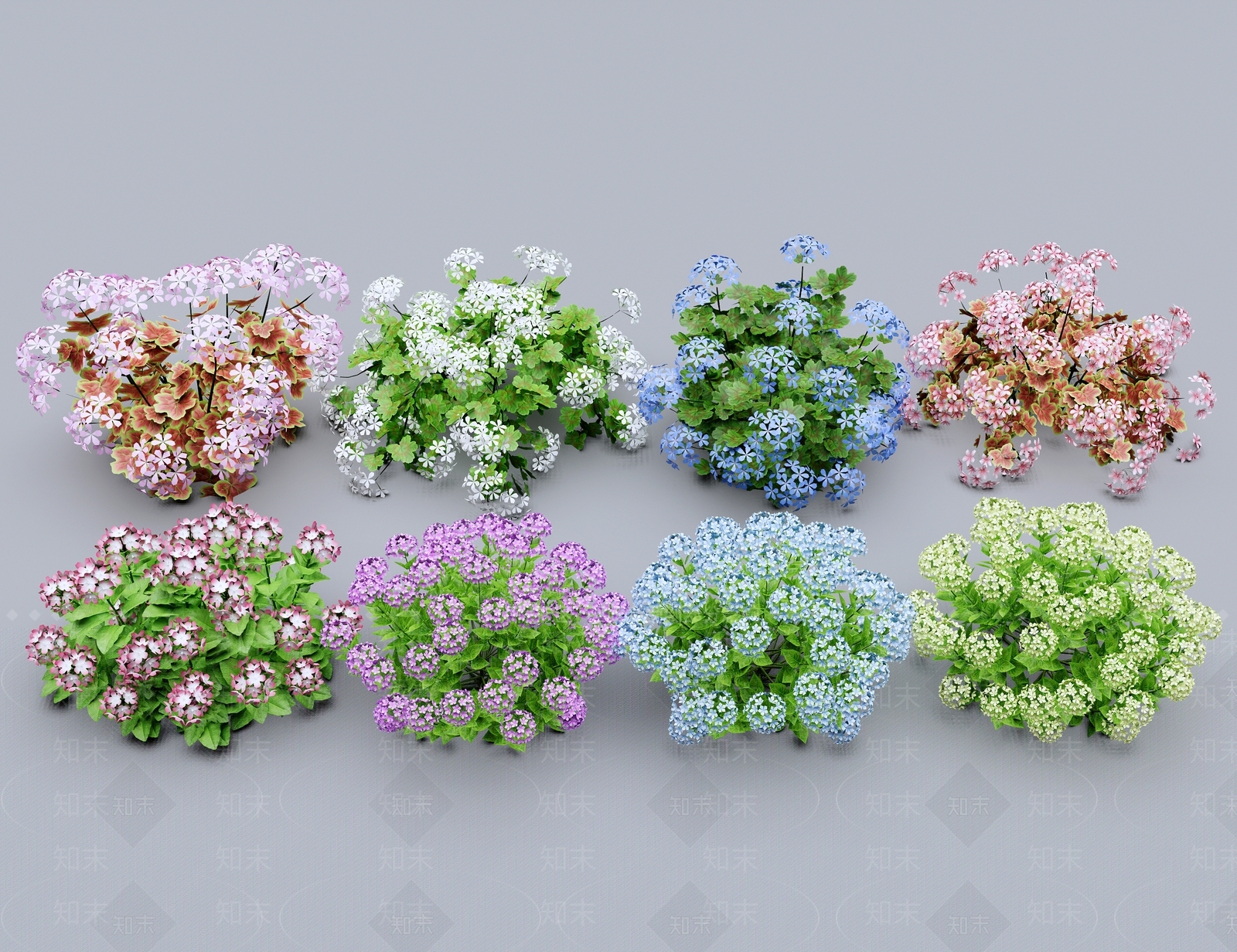 绣球花SU模型下载【ID:1139415962】