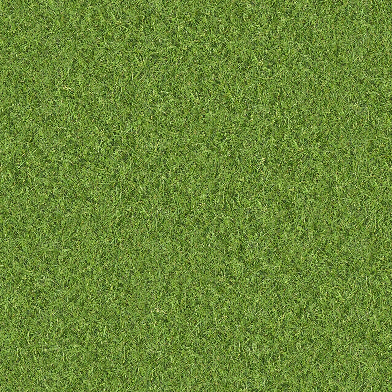 草皮草坪贴图下载【ID:1139435362】