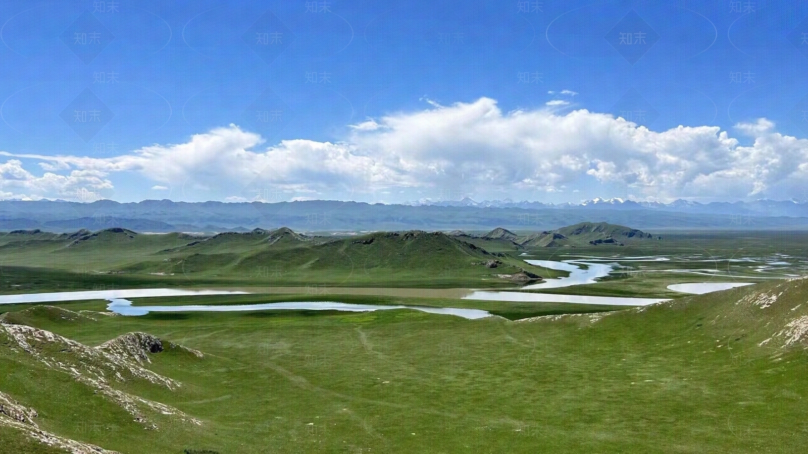 草坪户外风景贴图下载【ID:1139504332】