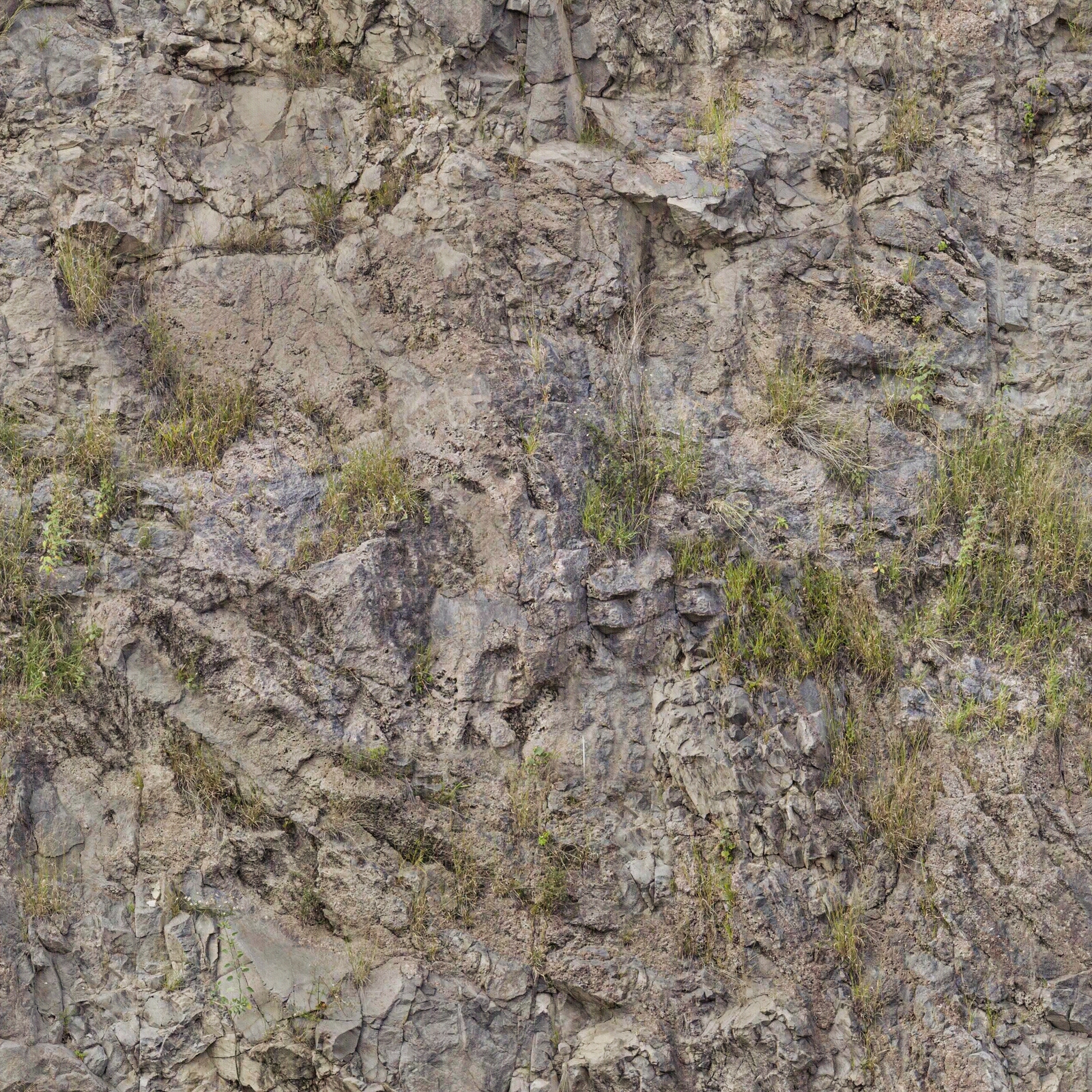 高清毛石文化石长草岩石石头墙面贴图下载【ID:1141698935】