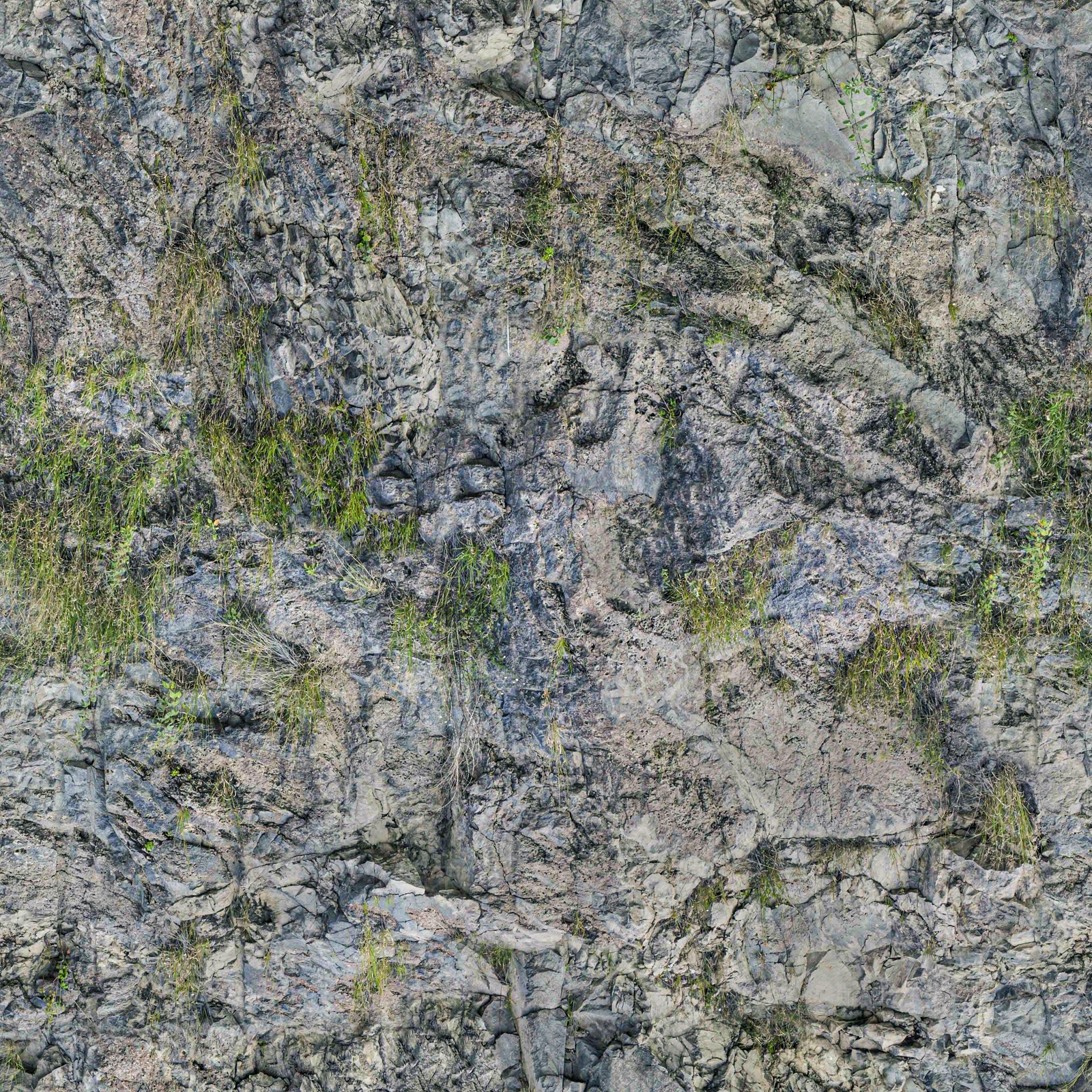 现代自然长草岩石石纹粗糙纹理石头景石石材石岩壁文化石墙面贴图下载【ID:1139576544】