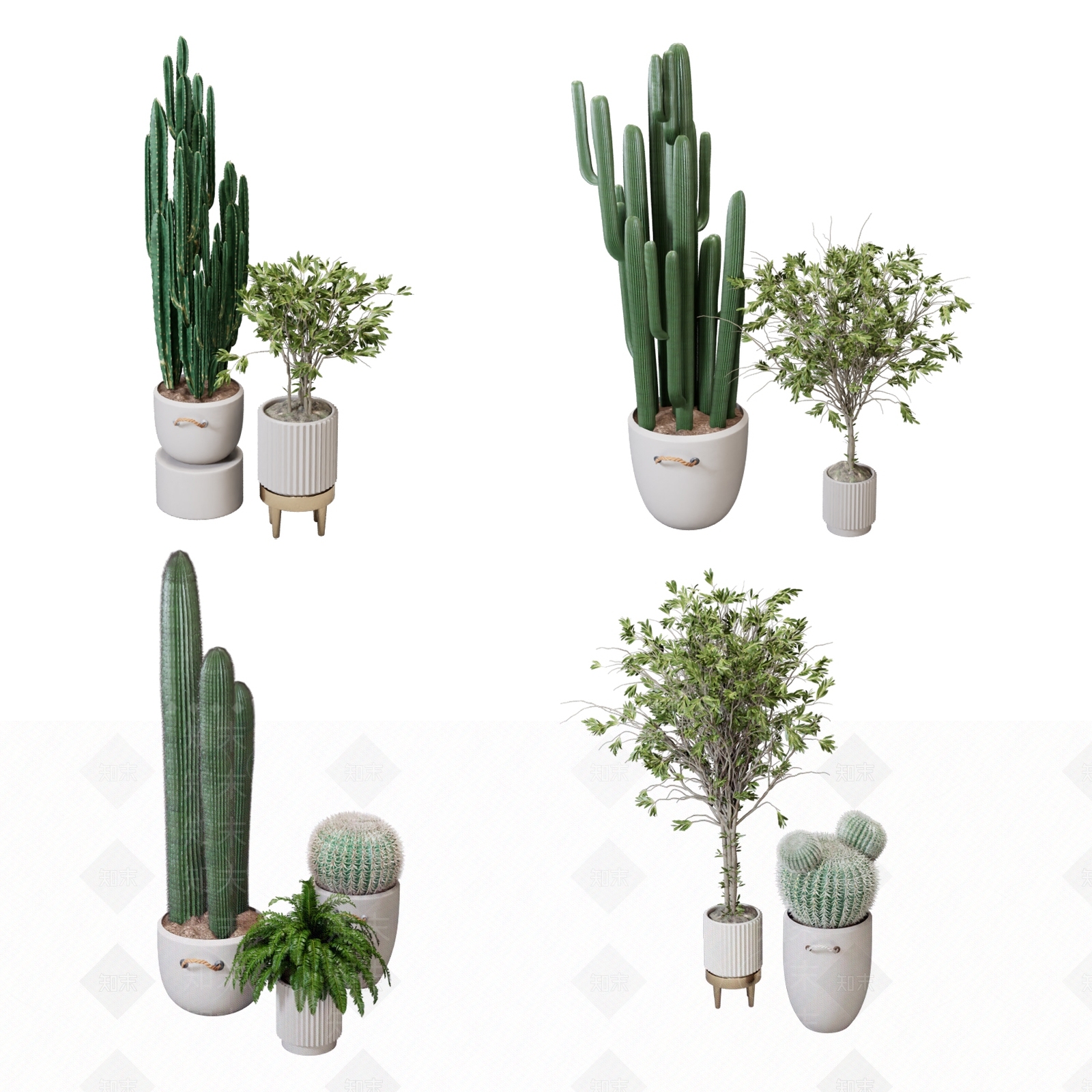 绿植盆栽3D模型下载【ID:1139698535】_知末3d模型网