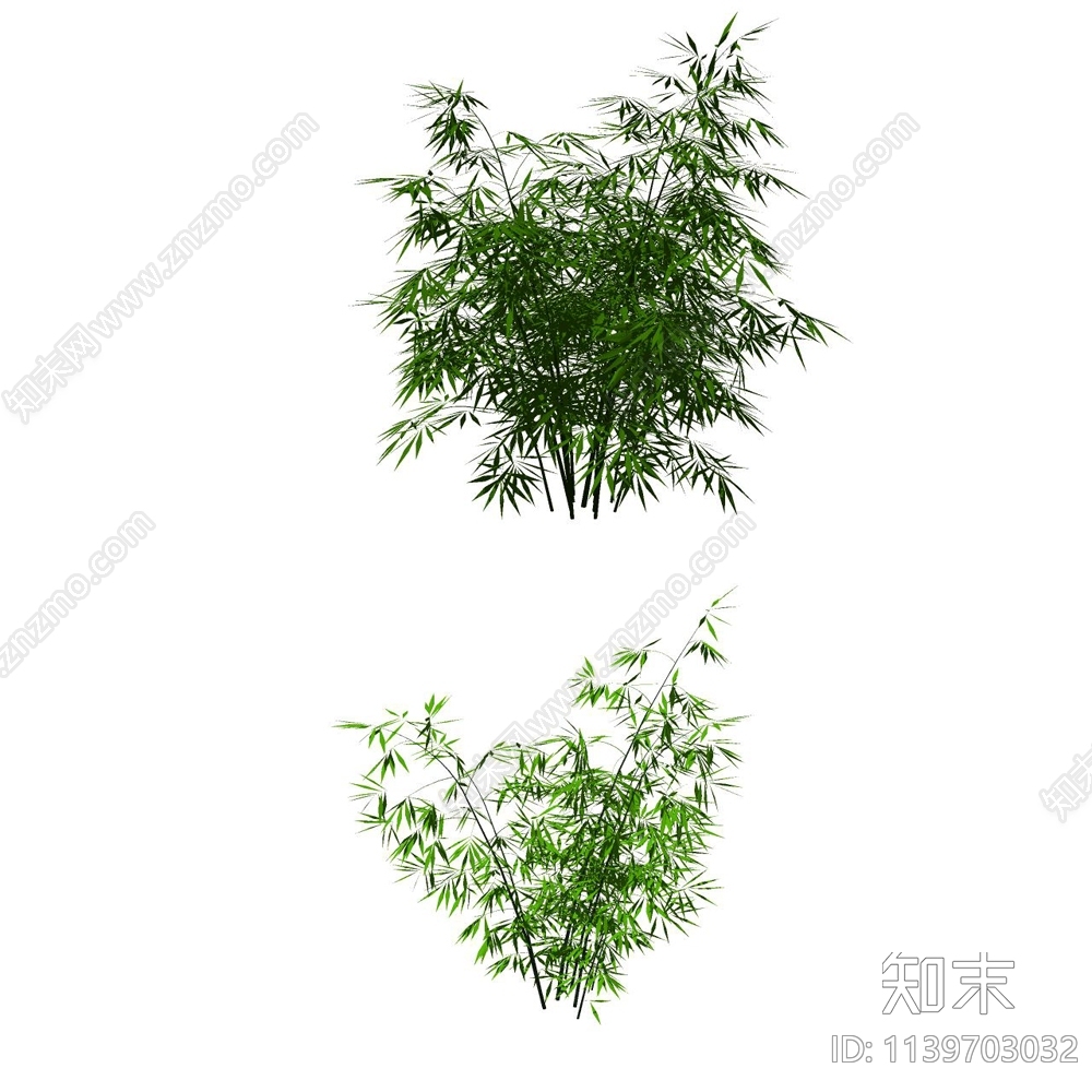 景观常用竹类SU模型下载【ID:1139703032】