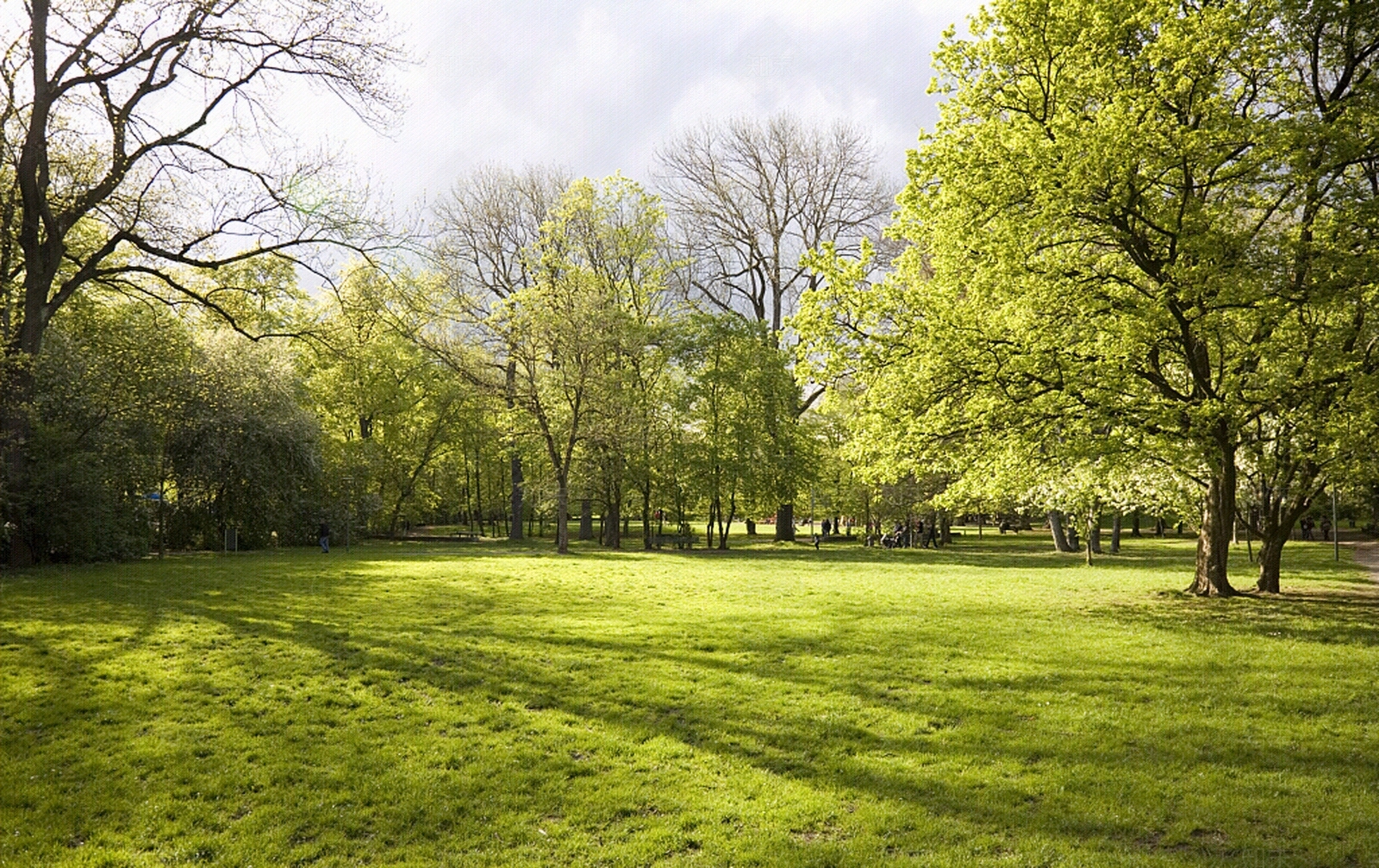 白天小区外景贴图下载【ID:1139750625】