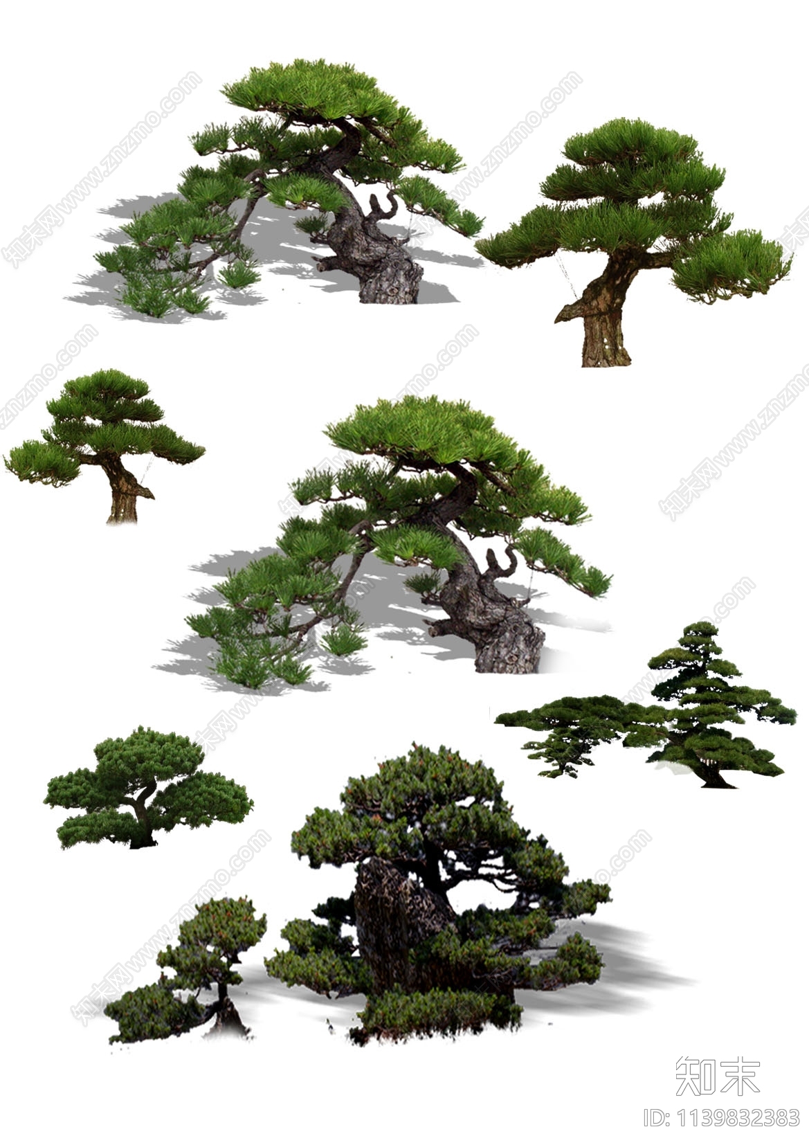 psd免抠松树盆栽下载【ID:1139832383】undefined