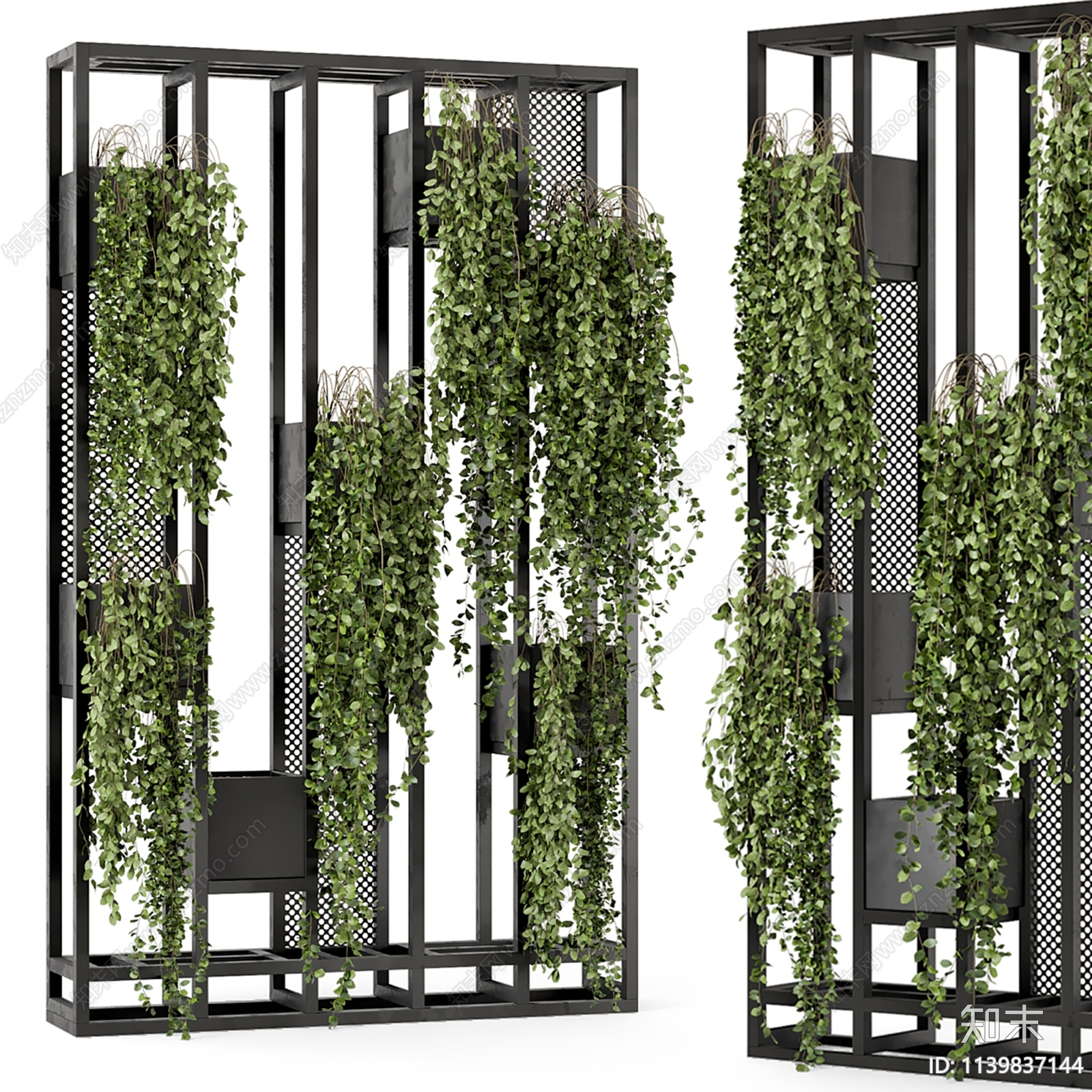 现代植物架3D模型下载【ID:1139837144】