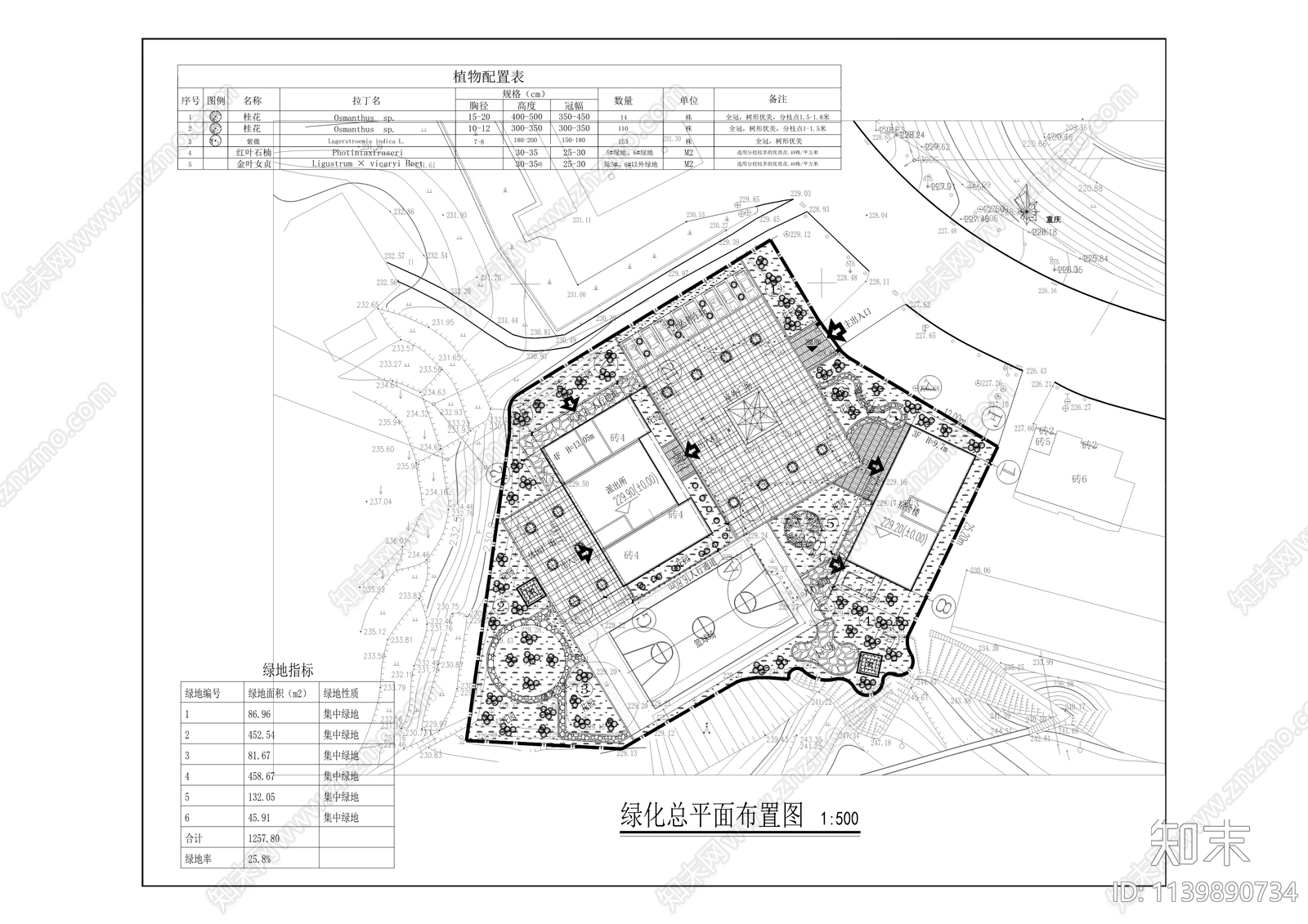 白涛集镇房屋医院改造建筑施工图下载【ID:1139890734】