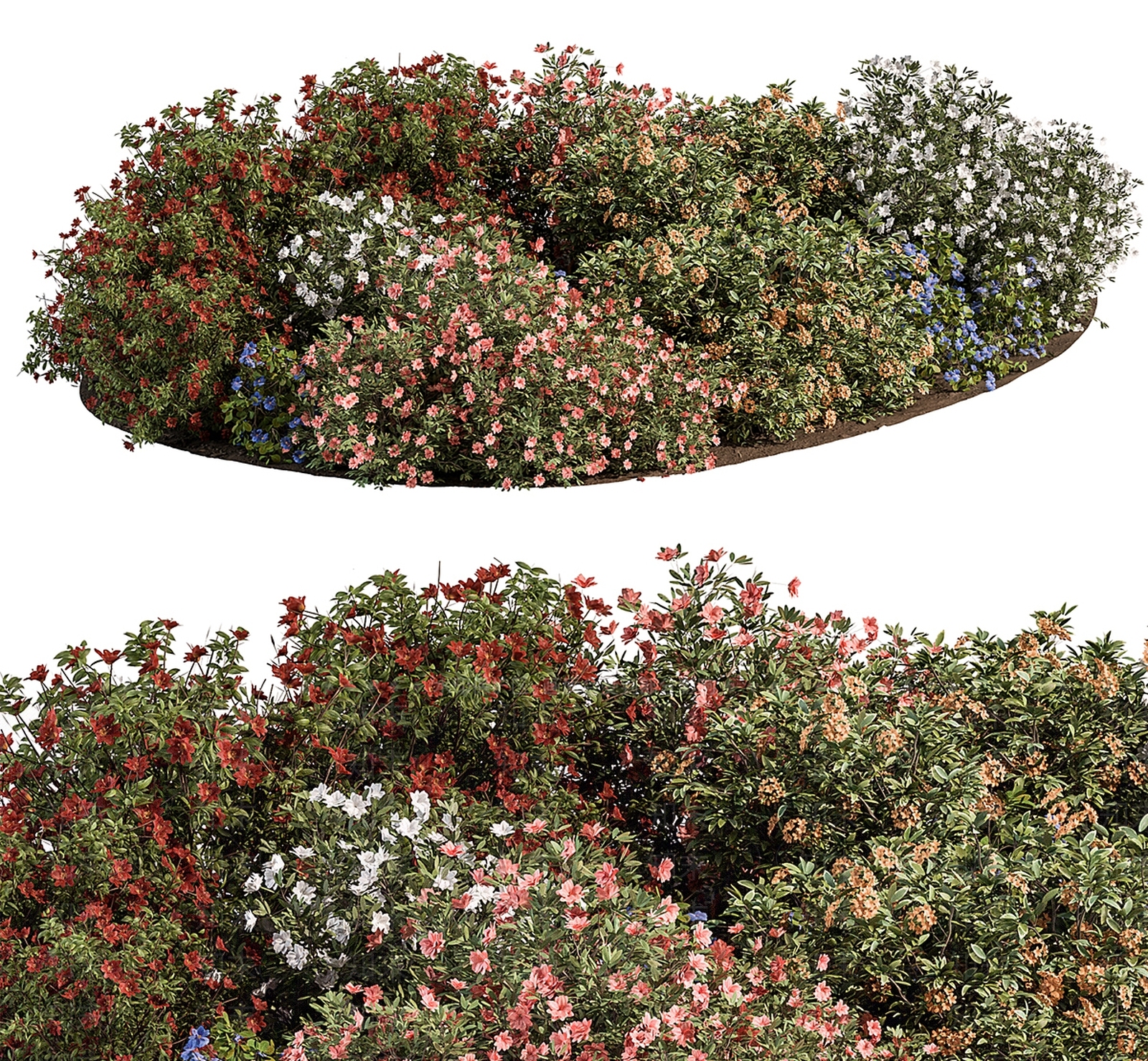 户外花草植物3D模型下载【ID:1139899509】