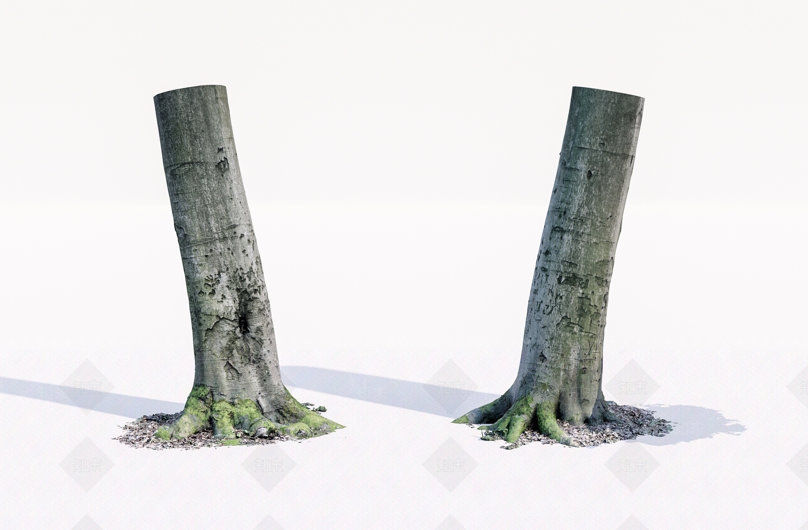 枯木3D模型下载【ID:1139902997】