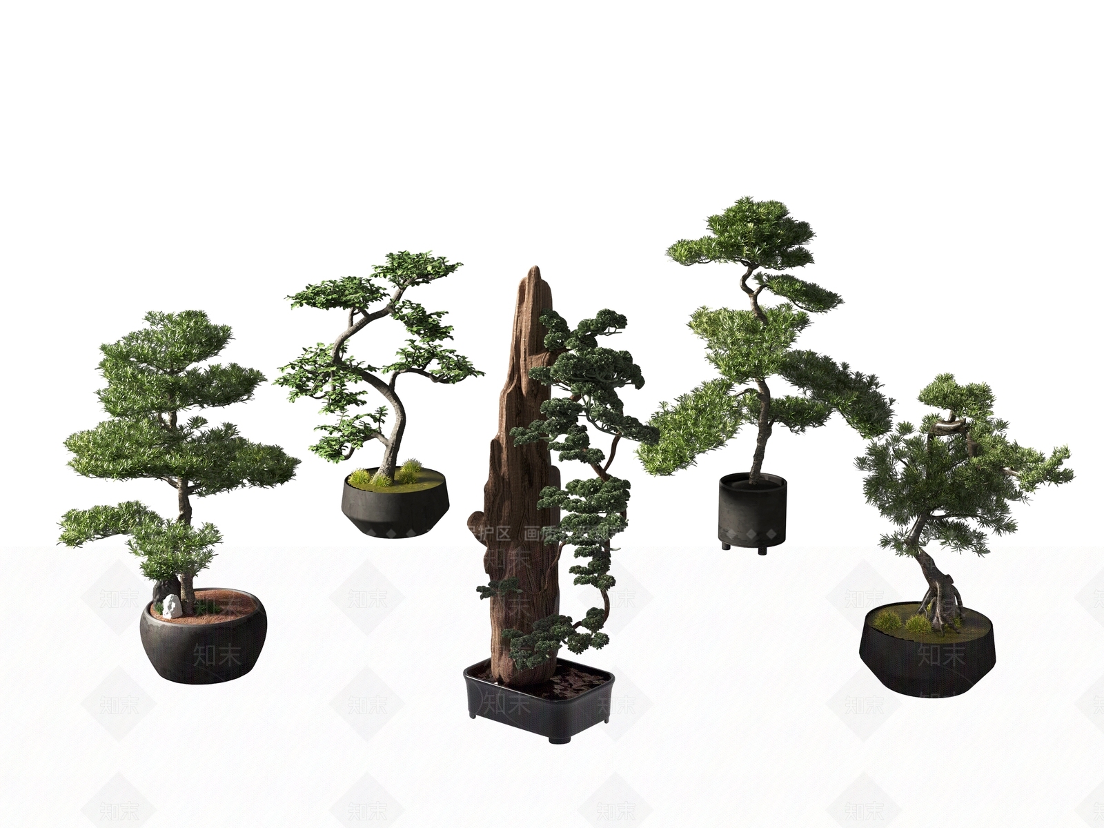 新中式松树盆景3D模型下载【ID:1139956694】