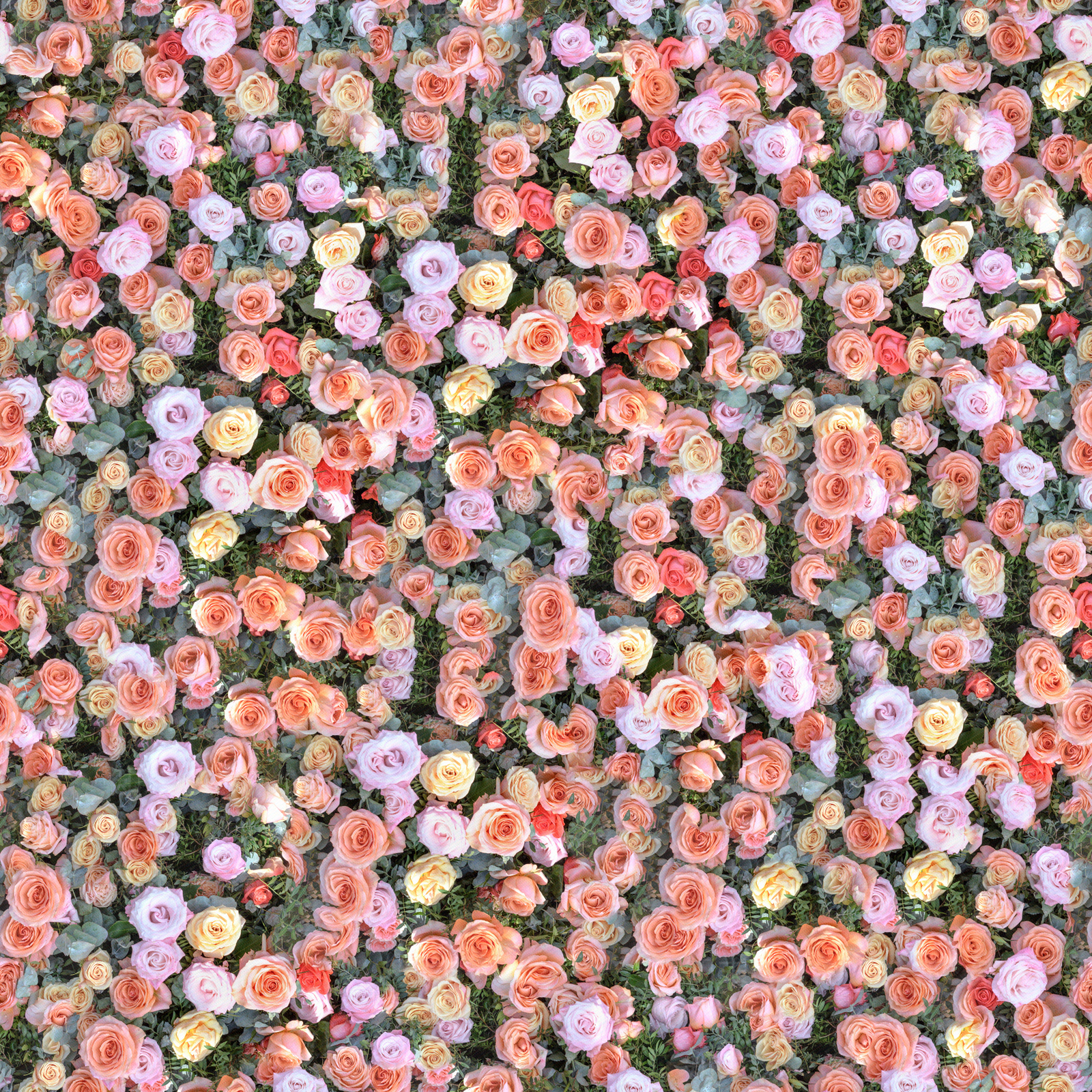 无缝花卉植被贴图下载【ID:1139919391】