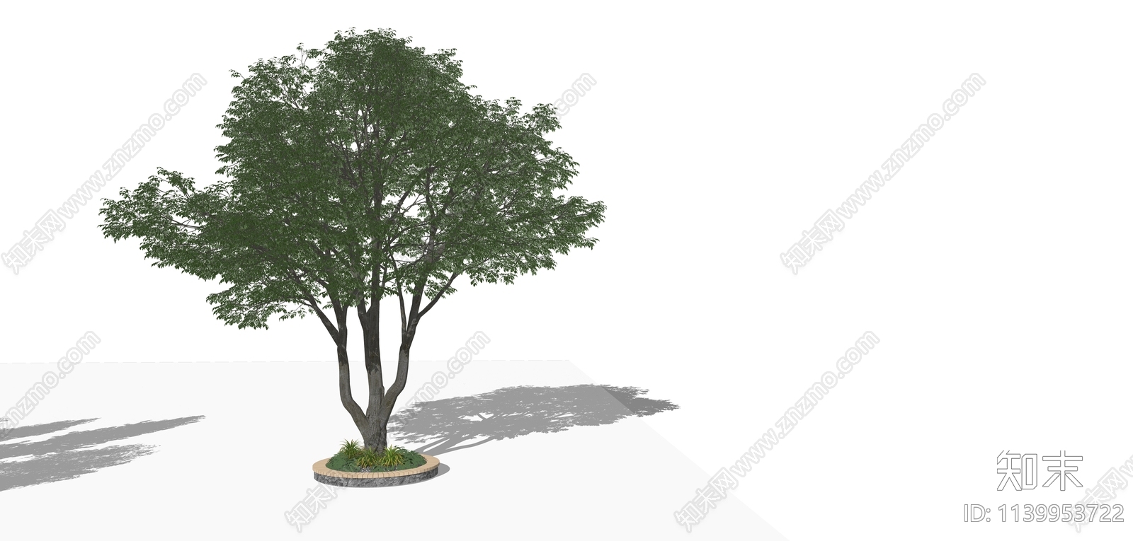乔木景观树SU模型下载【ID:1139953722】_知末su模型网