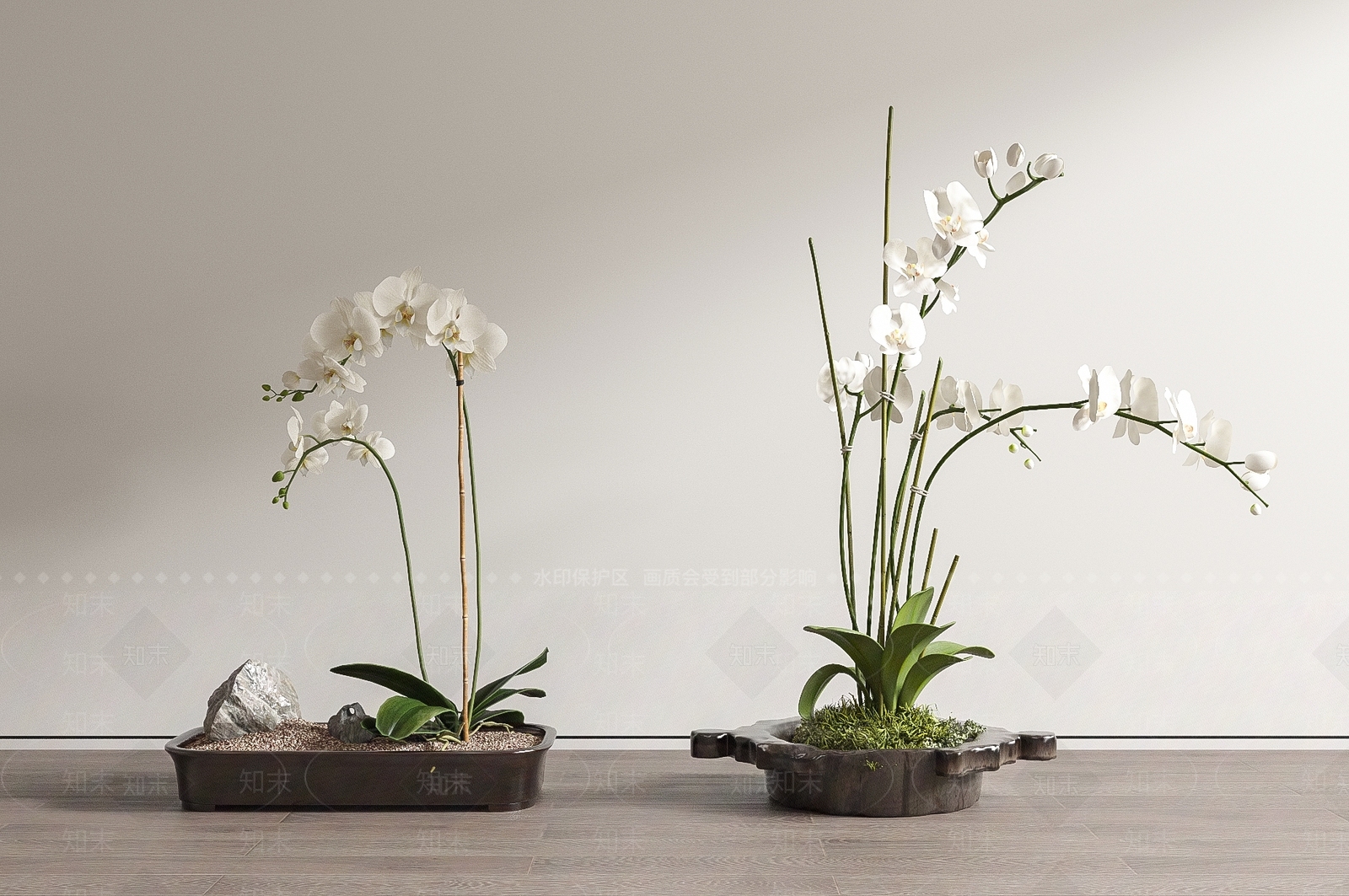 蝴蝶兰盆栽盆景SU模型下载【ID:1140242865】