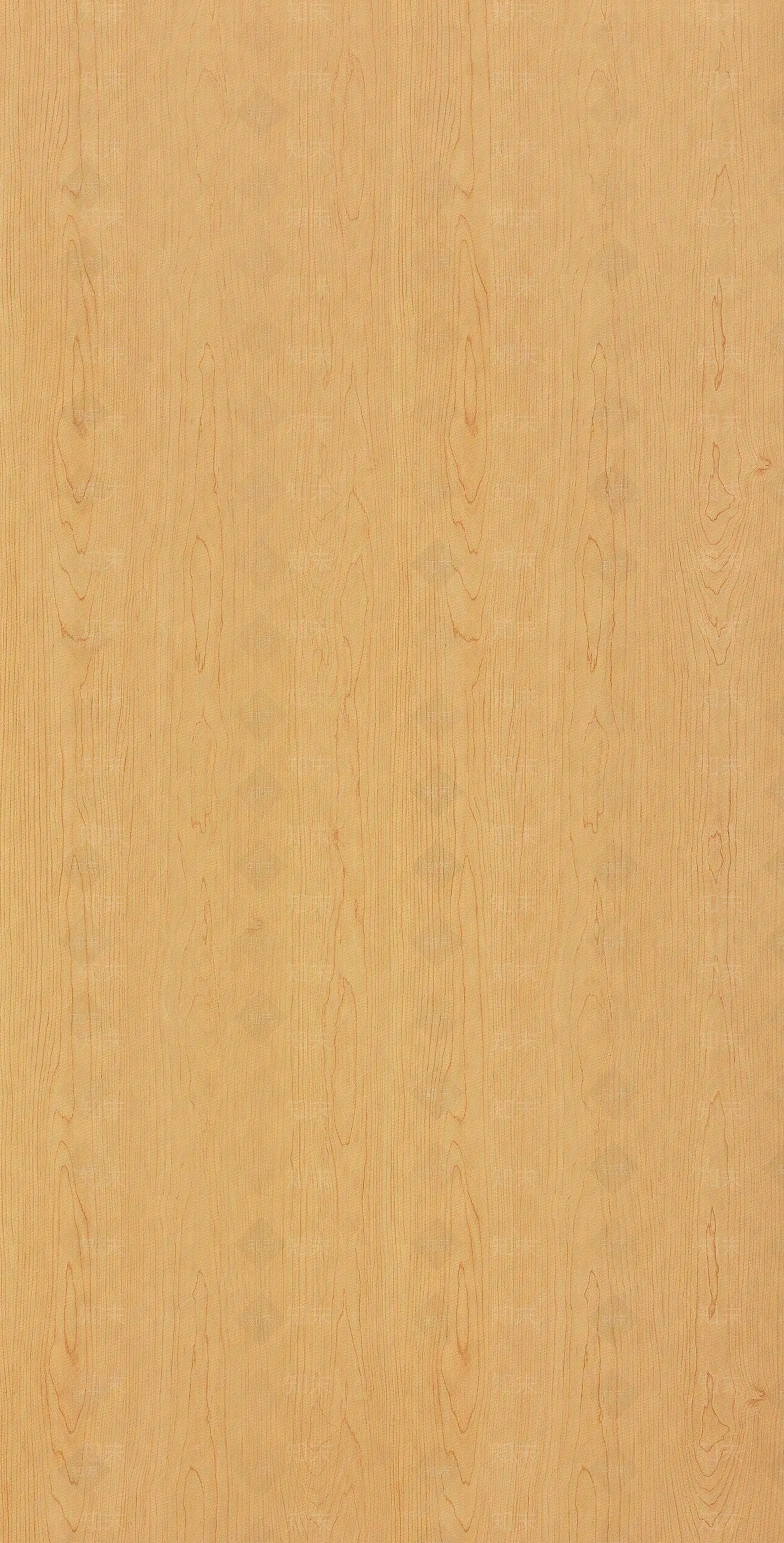 暖黄色枫木木纹贴图下载【ID:1140316398】