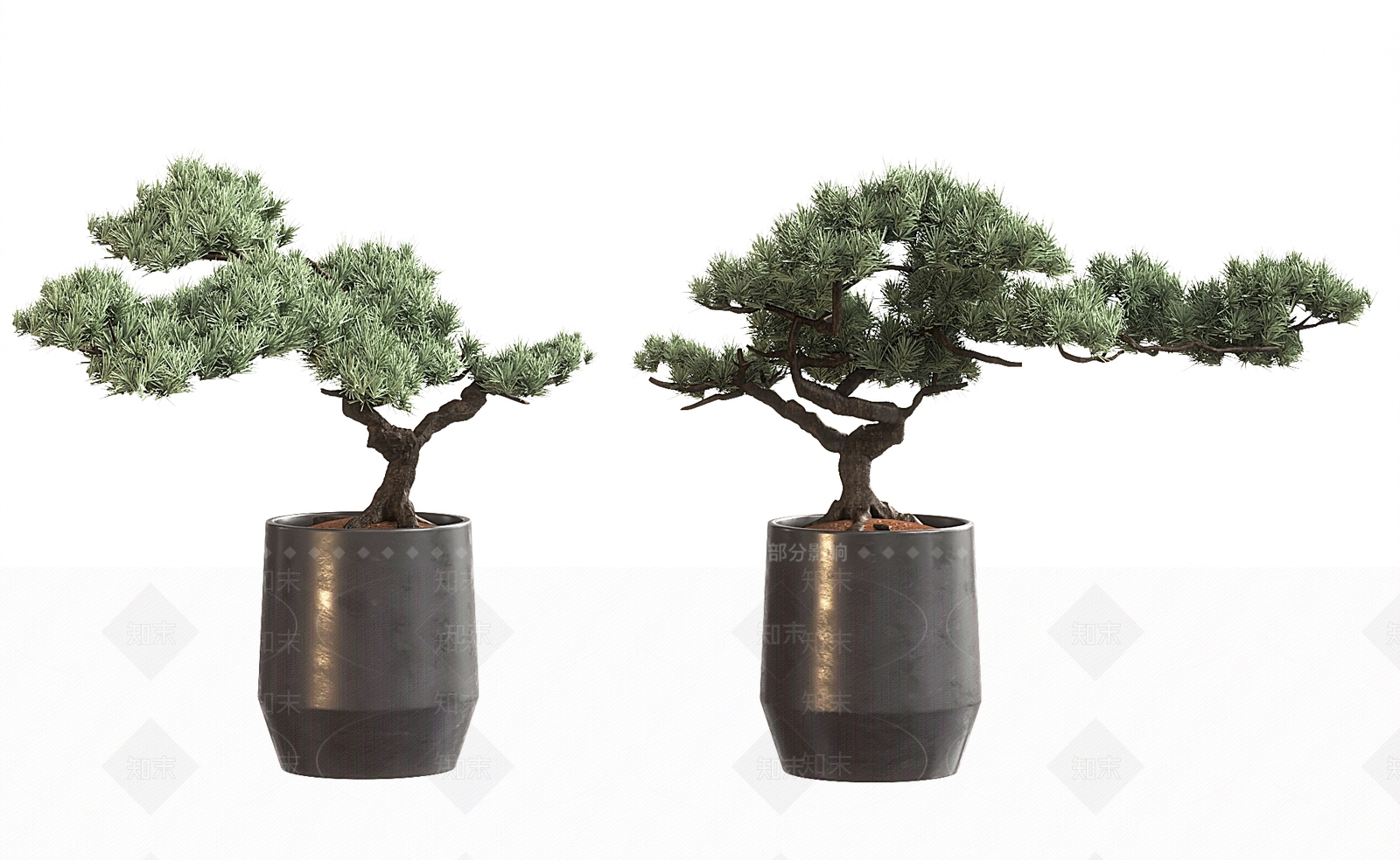 松树盆栽SU模型下载【ID:1140361467】