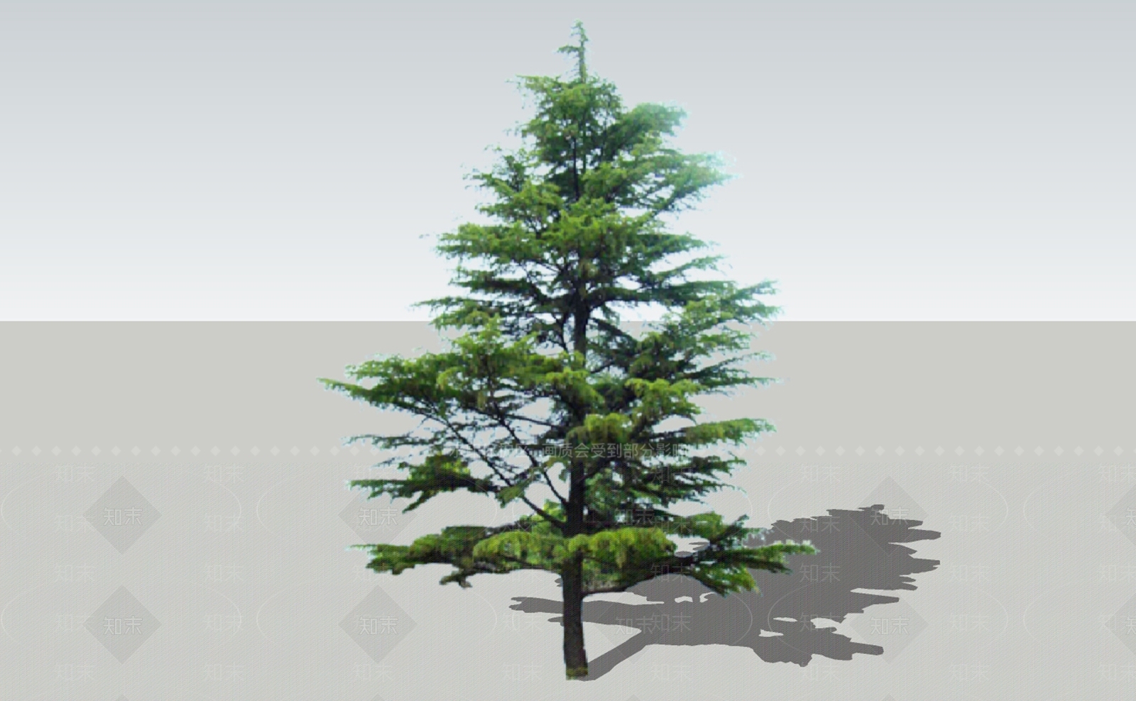 2D其他植物SU模型下载【ID:1140379820】