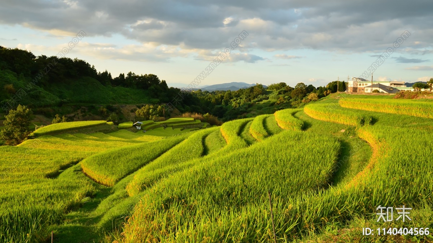 外景梯田贴图下载【ID:1140404566】