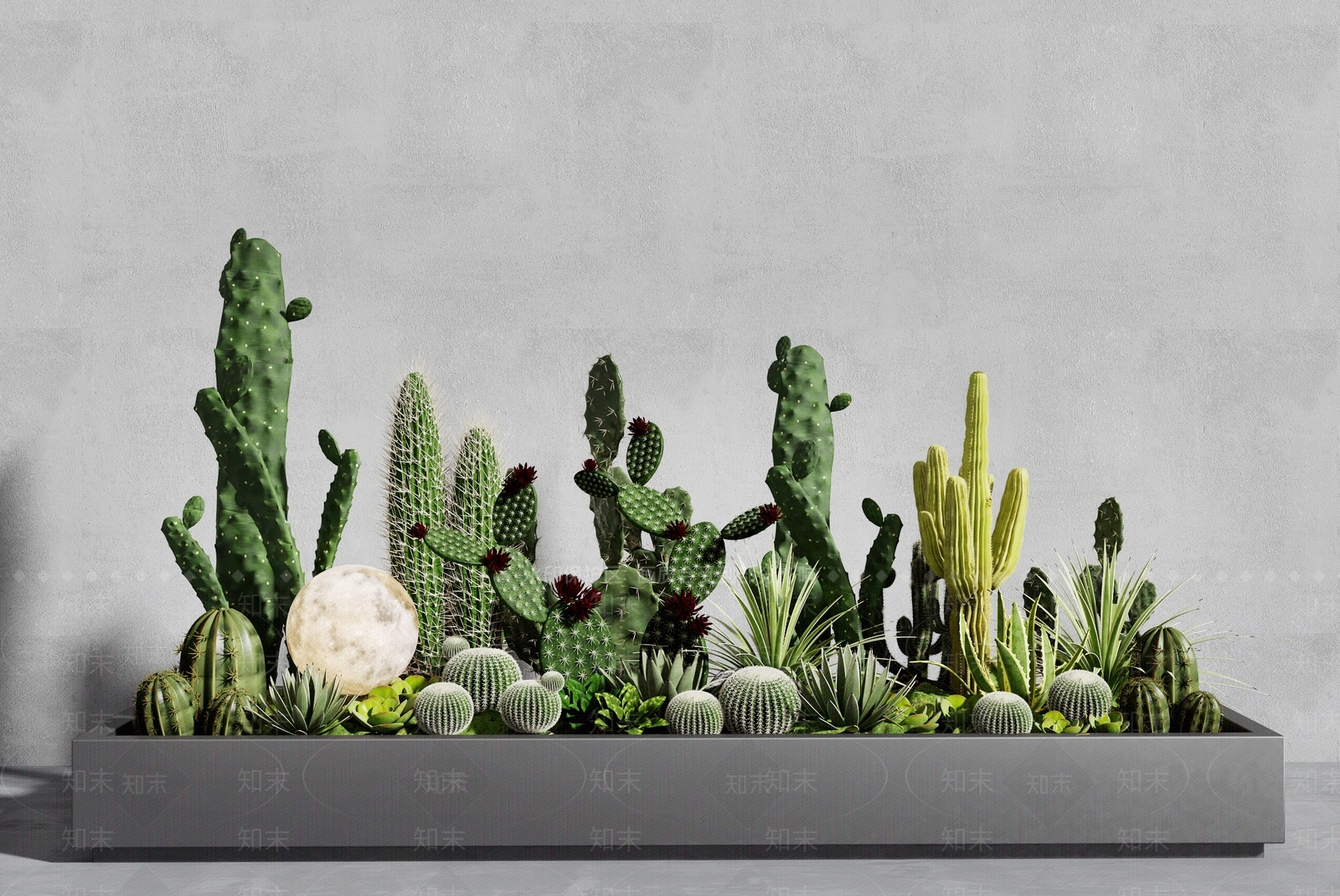 仙人掌植物堆3D模型下载【ID:1140408981】