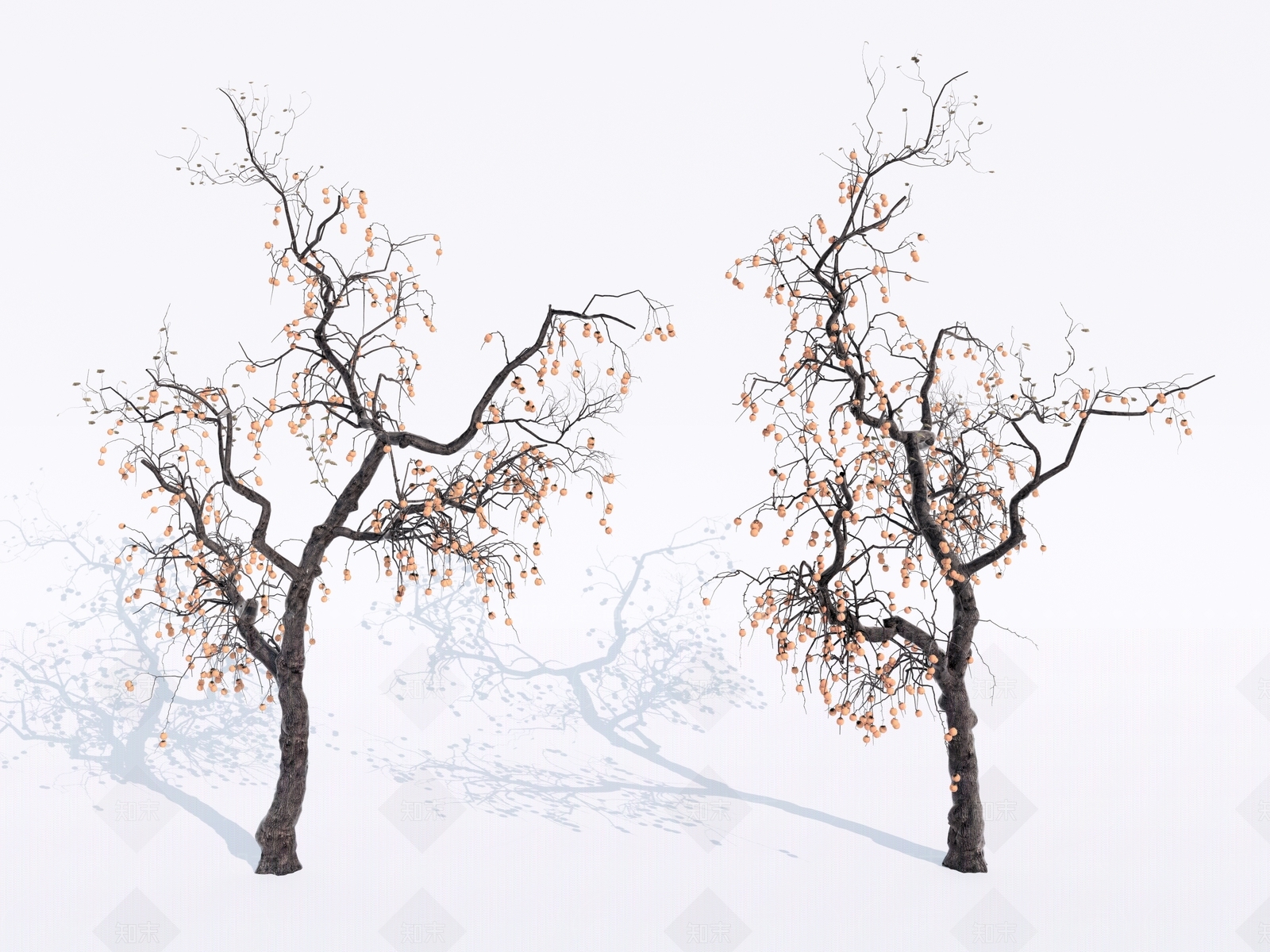 行道树SU模型下载【ID:1140456425】