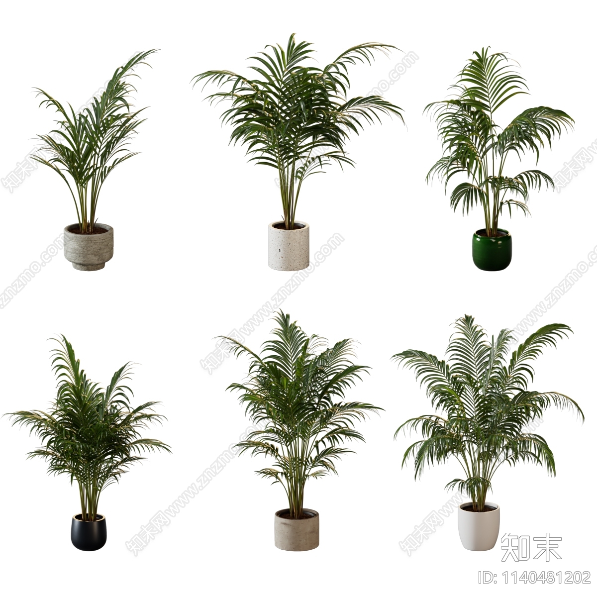 散尾葵绿植盆栽3D模型下载【ID:1140481202】