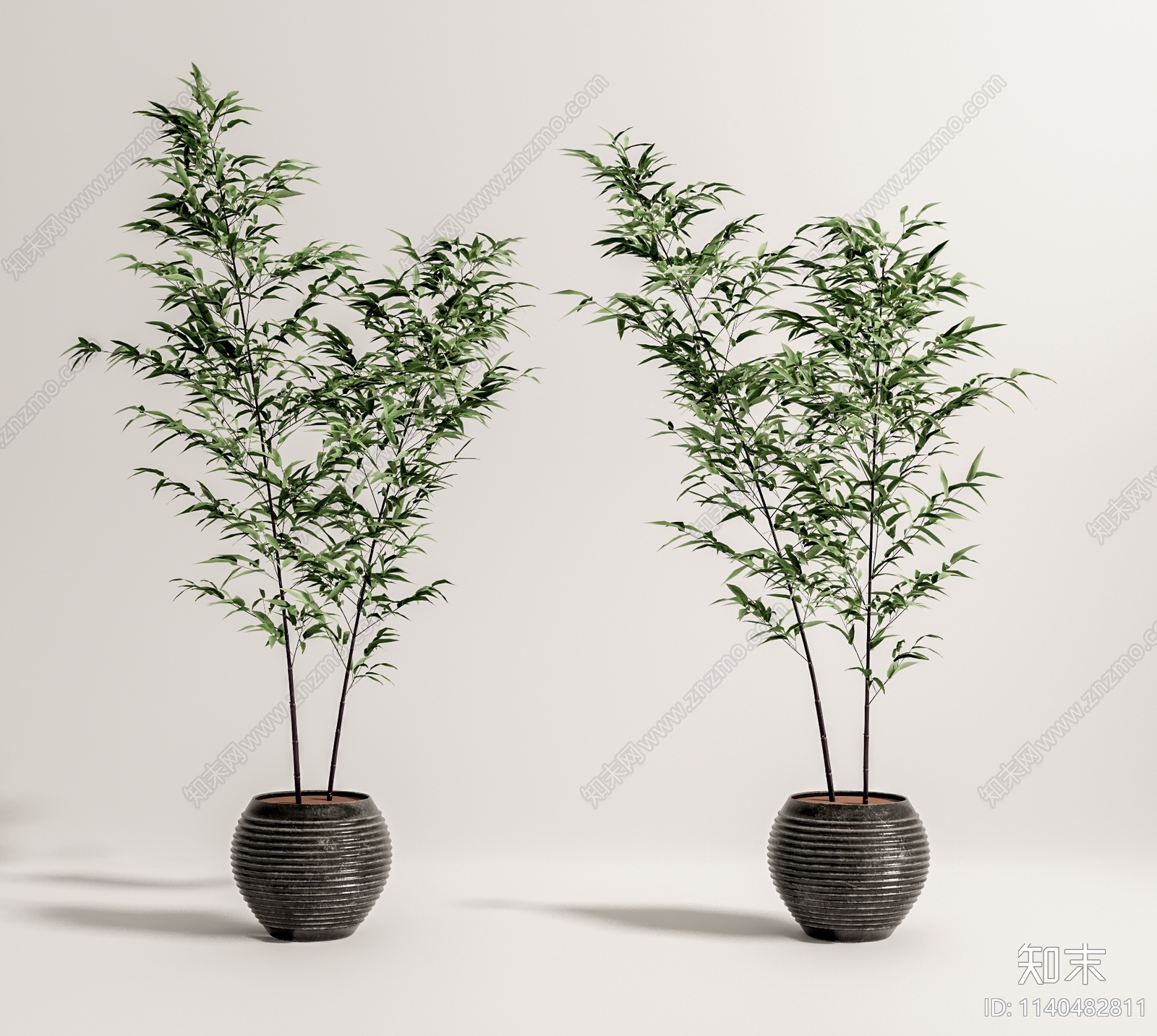 竹子植物盆栽3D模型下载【ID:1140482811】