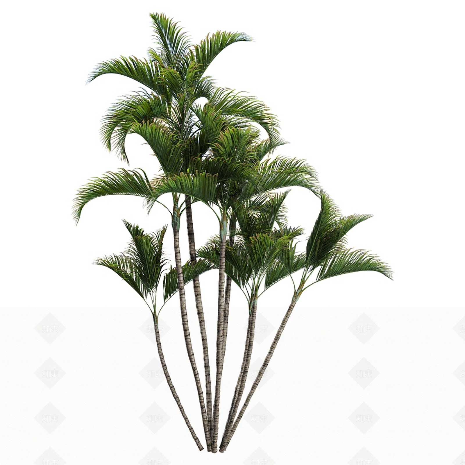 乔木3D模型下载【ID:1140497516】