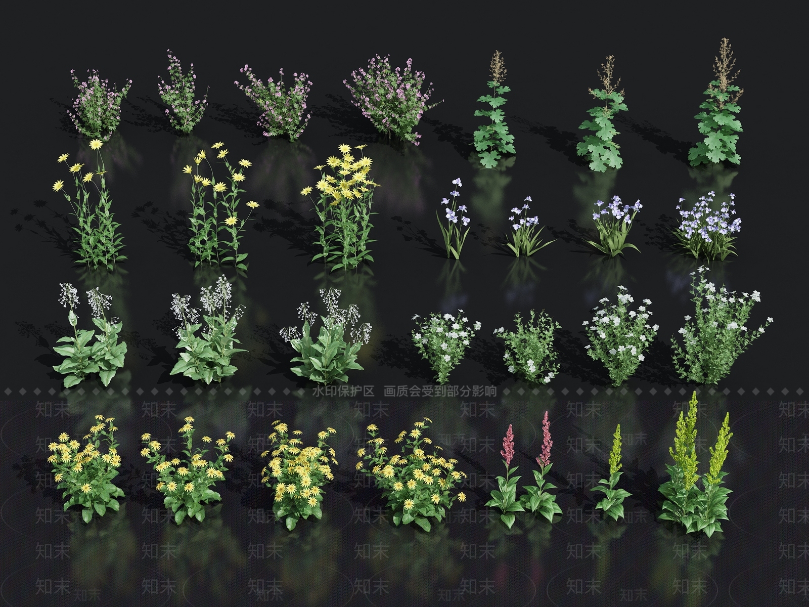 花卉花草组合3D模型下载【ID:1140526157】