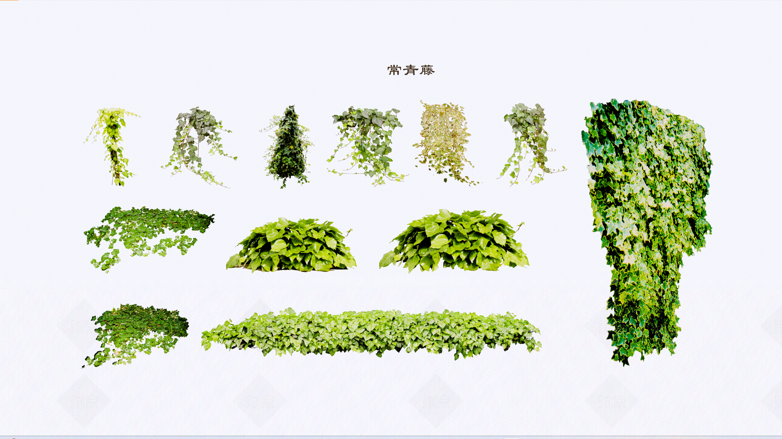 2D带名藤本SU模型下载【ID:1140567743】