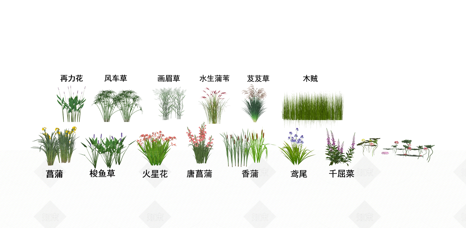 水生植物SU模型下载【ID:1140904497】