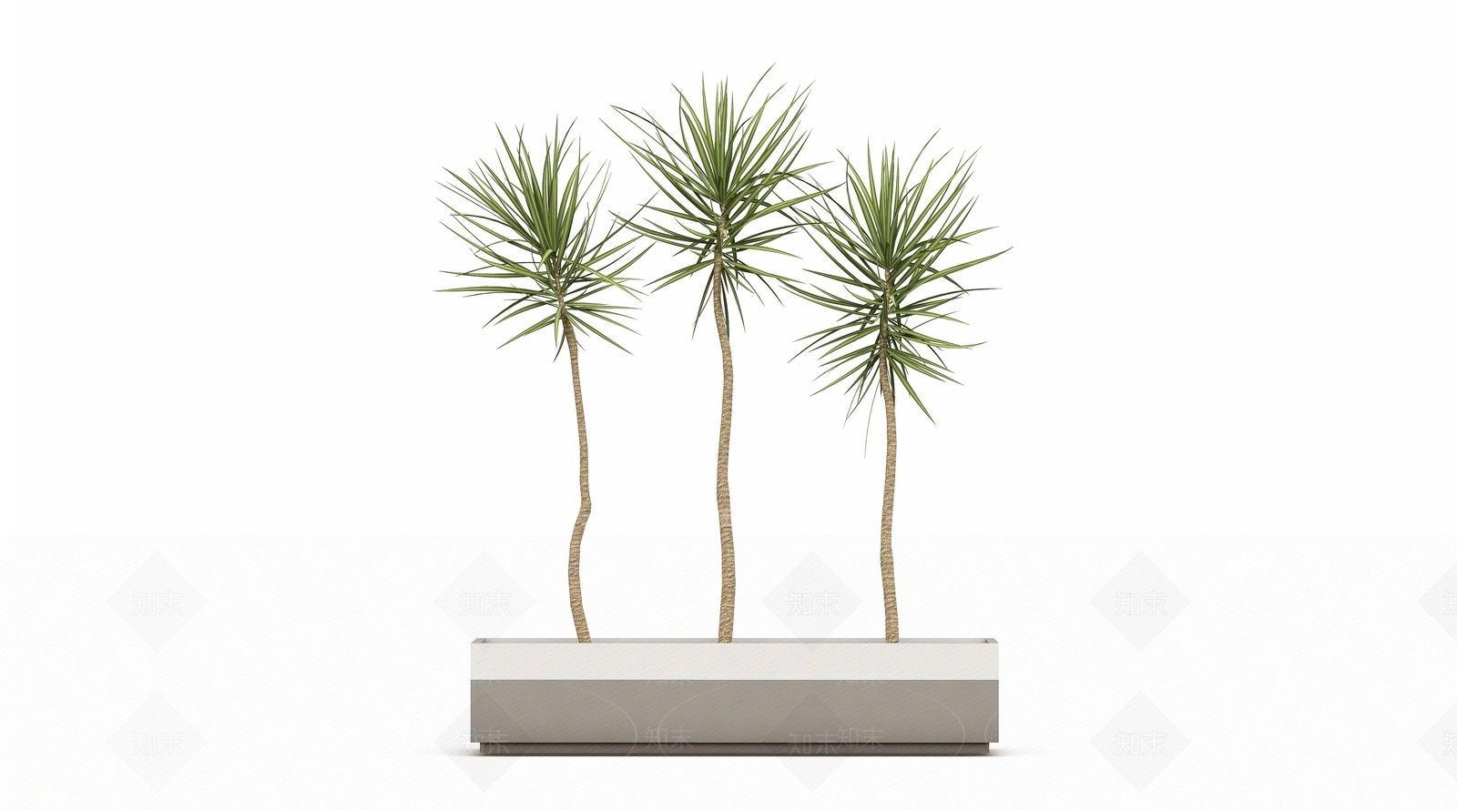 花池千年木种植SU模型下载【ID:1140683877】