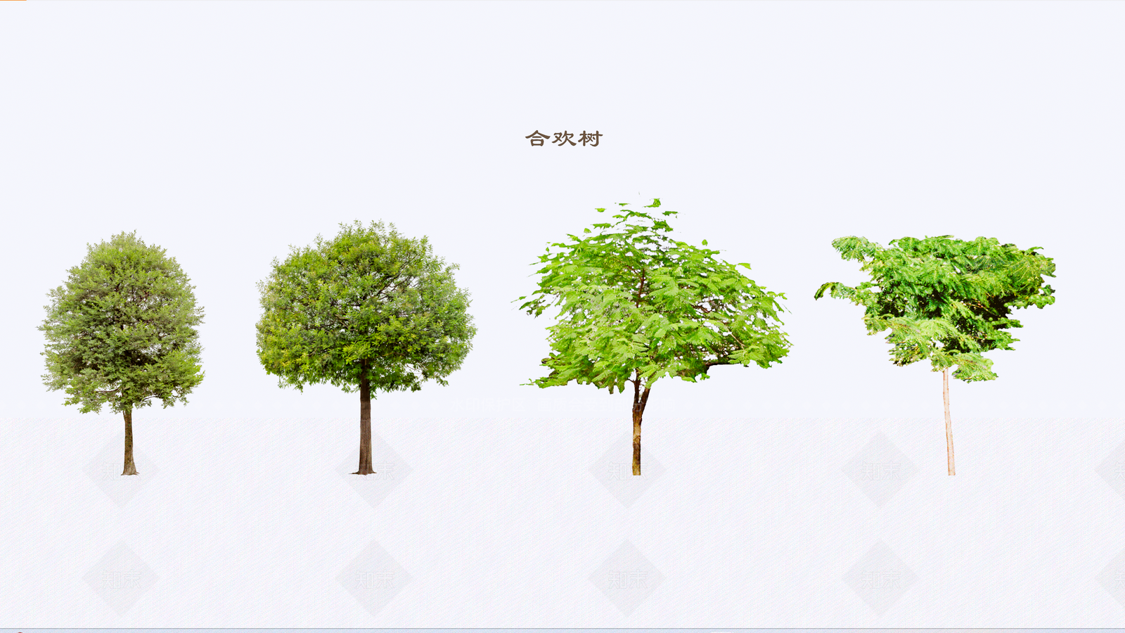 2D乔木合欢树SU模型下载【ID:1140774040】