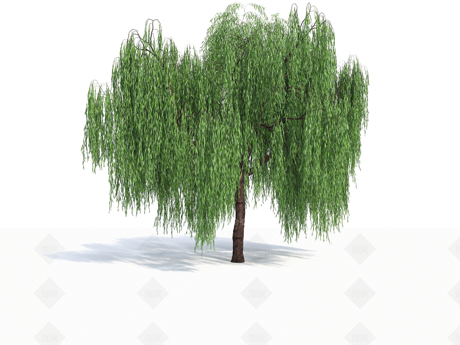 柳树3D模型下载【ID:1140742919】