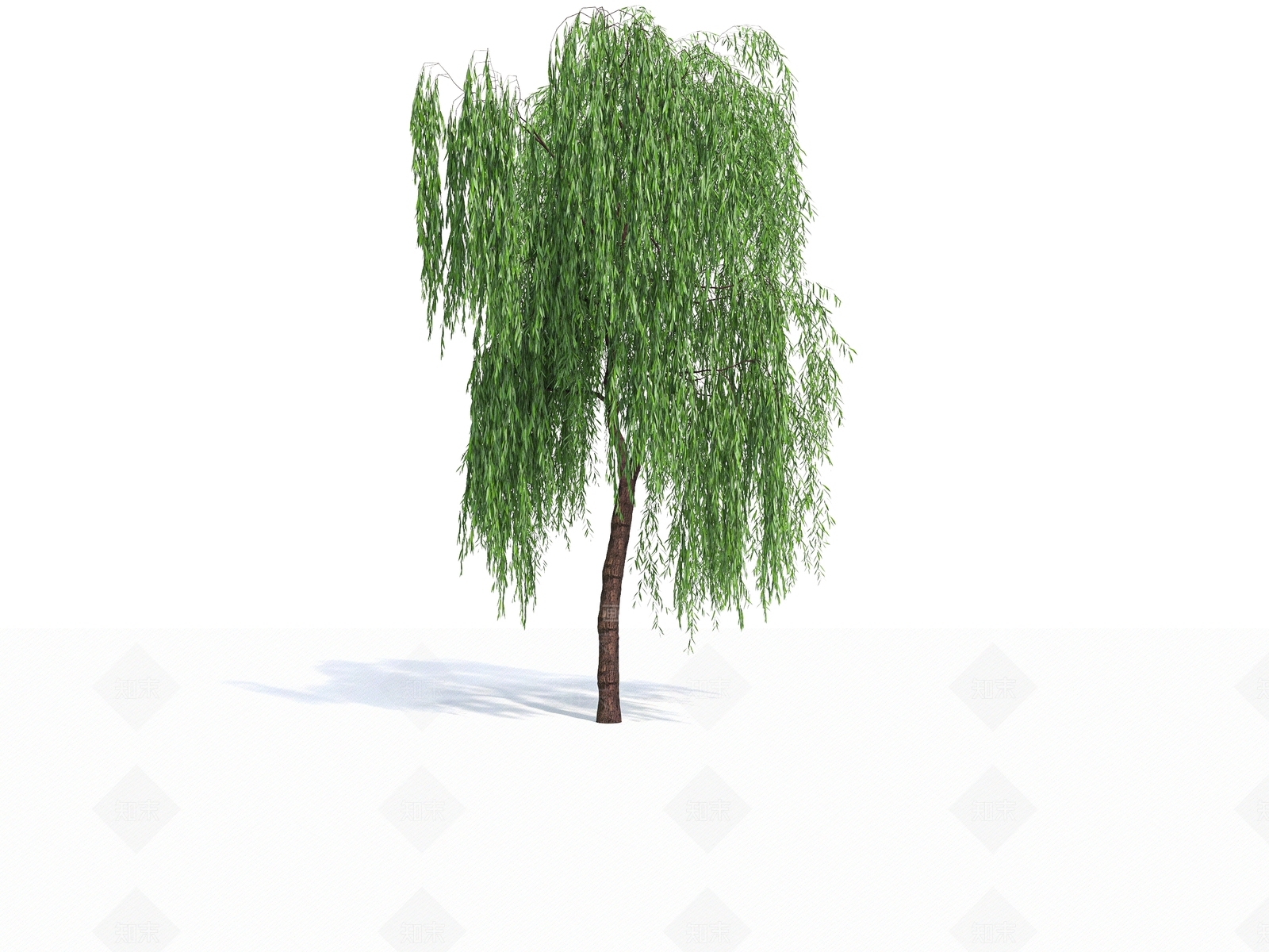 柳树3D模型下载【ID:1140743212】
