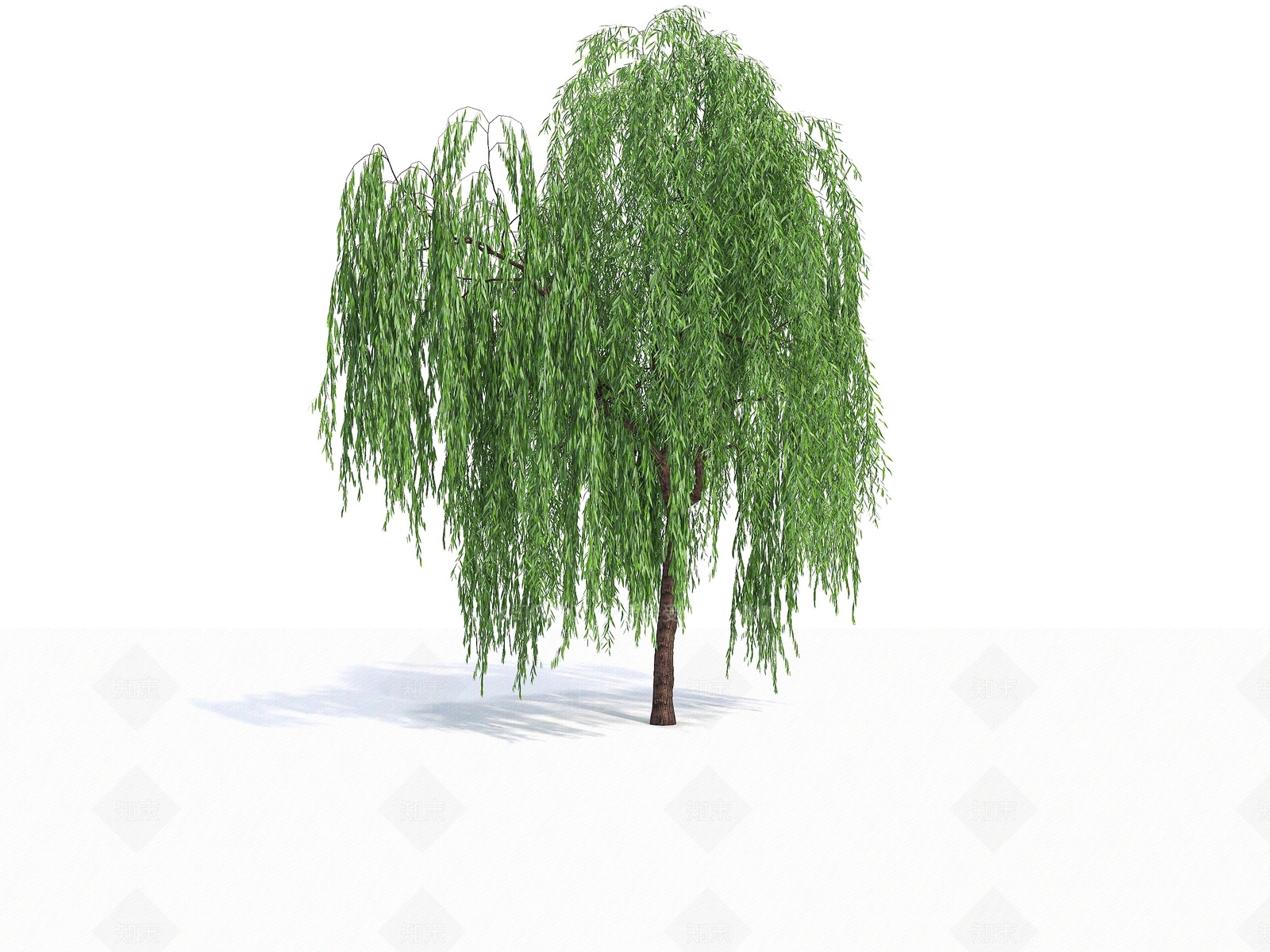 柳树3D模型下载【ID:1140743436】