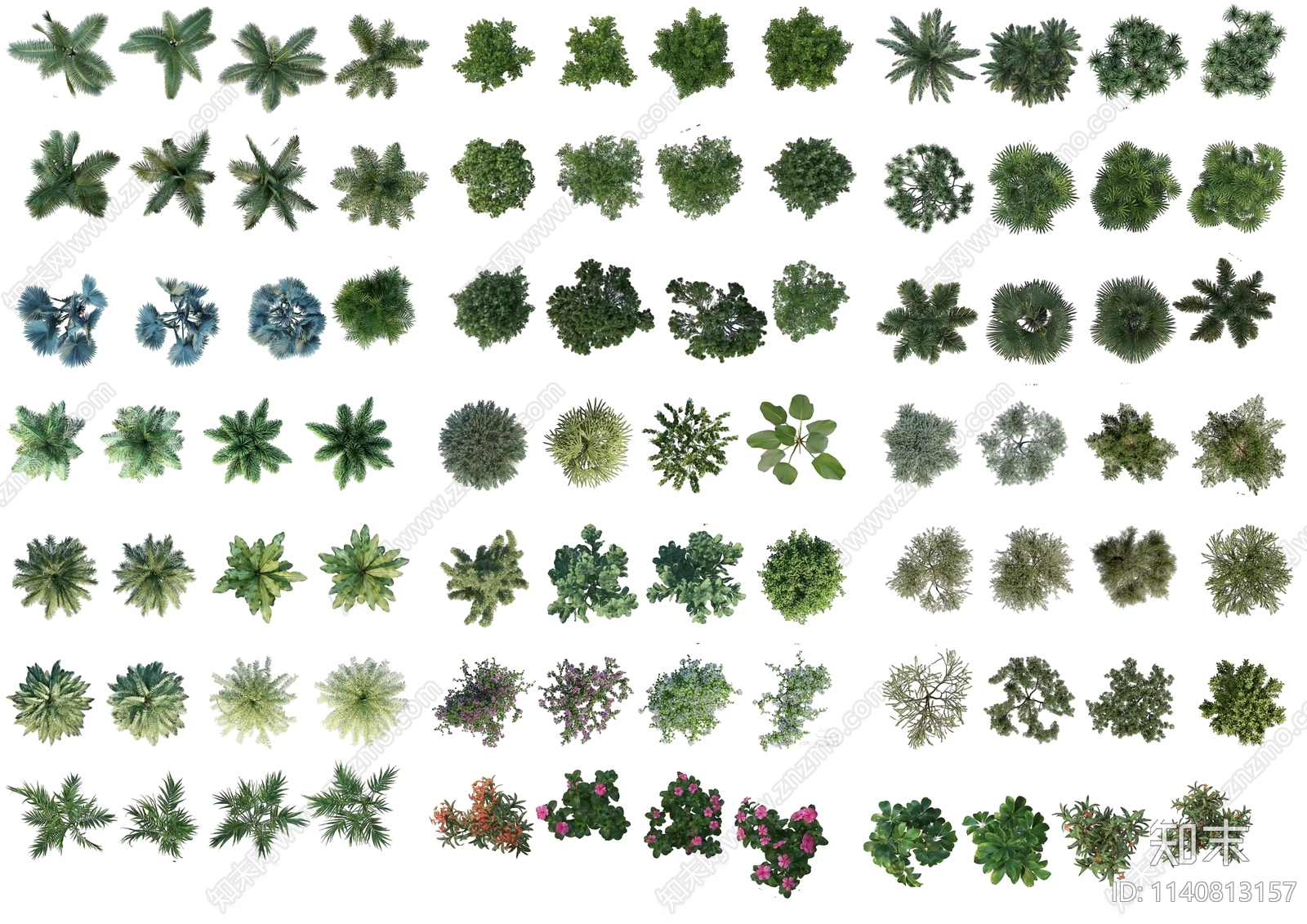 psd免抠彩平植物贴图下载【ID:1140813157】_【知末网贴图库】
