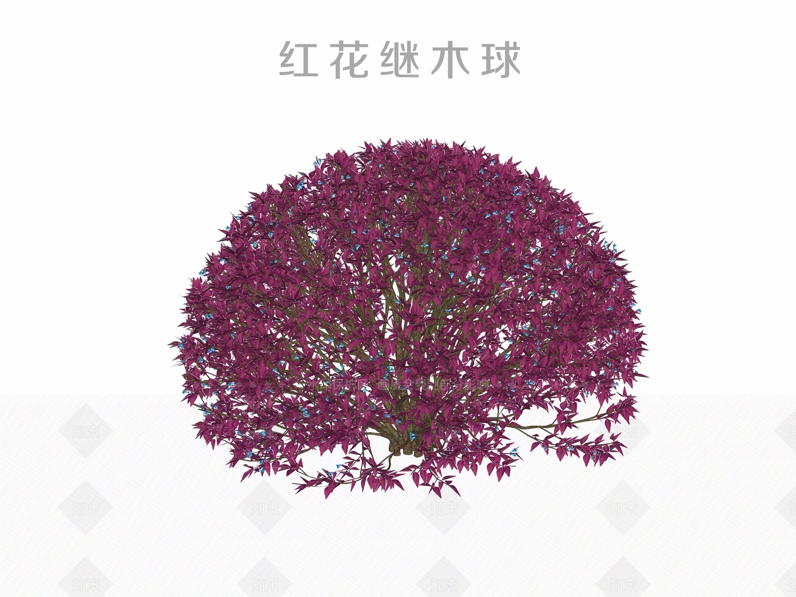 灌木SU模型下载【ID:1171631190】