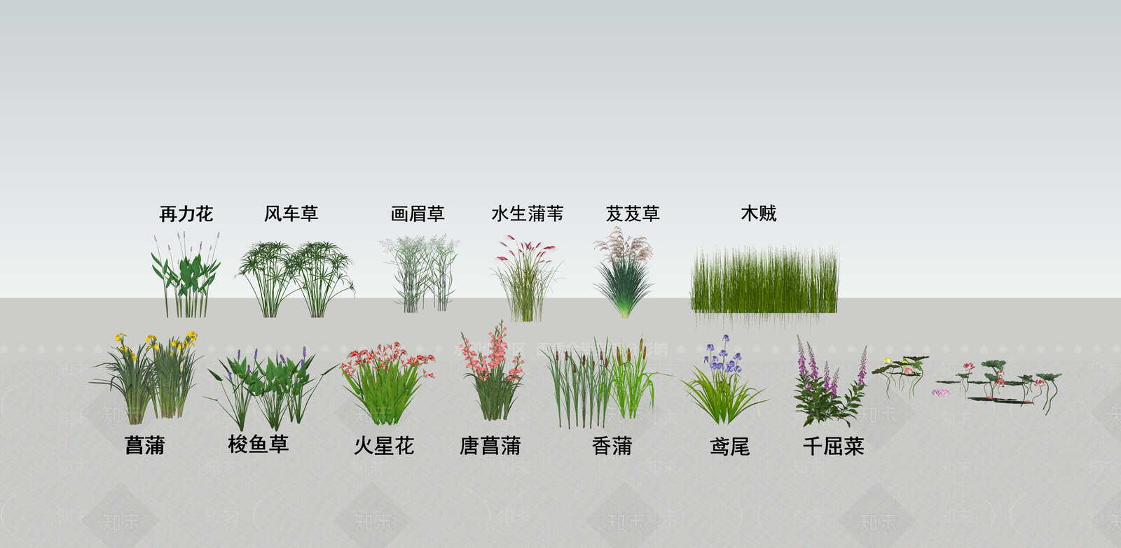 水生植物SU模型下载【ID:1140904497】