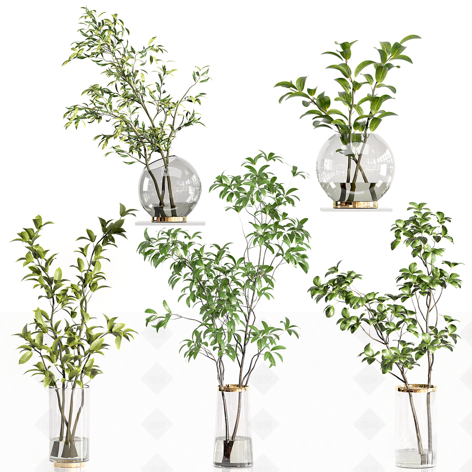 水生植物3D模型下载【ID:1140899976】